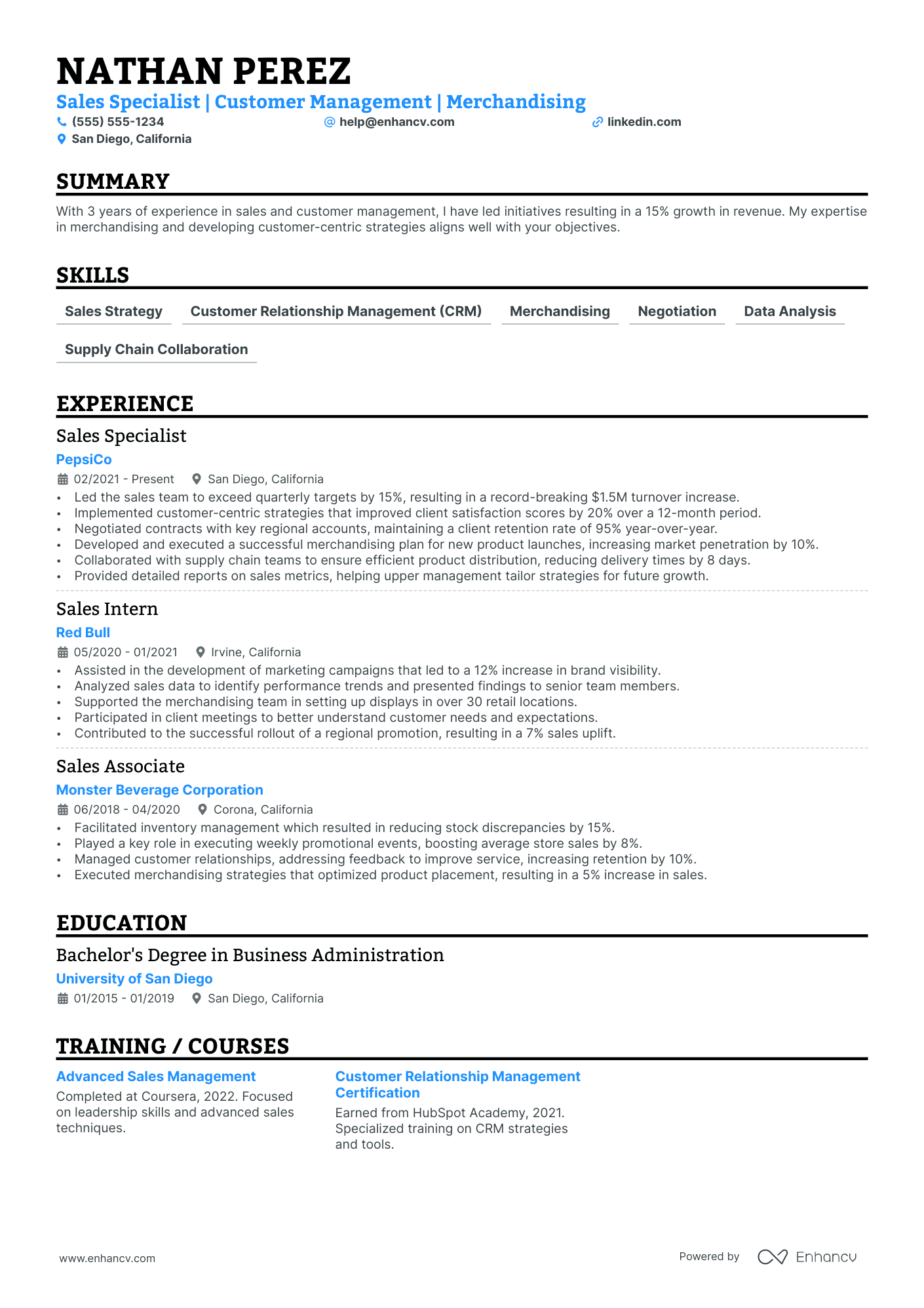 Direct Sales Director resume example