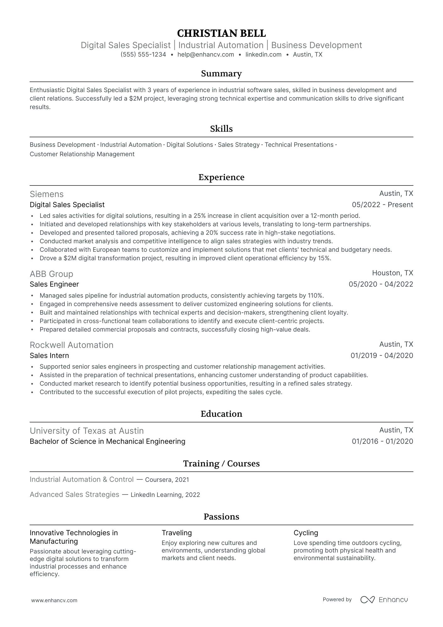 Digital Sales Director resume example