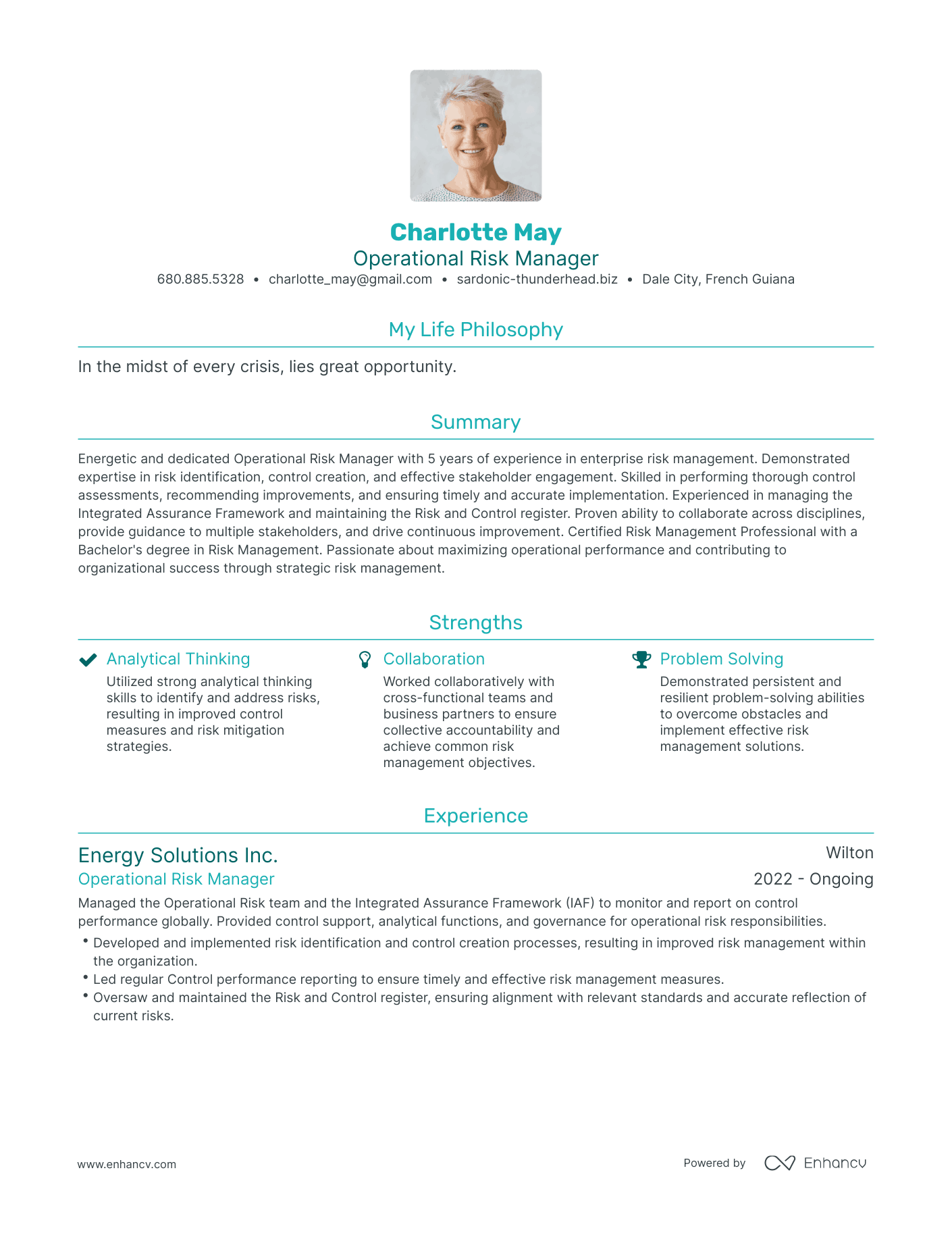 Modern Operational Risk Manager Resume Example