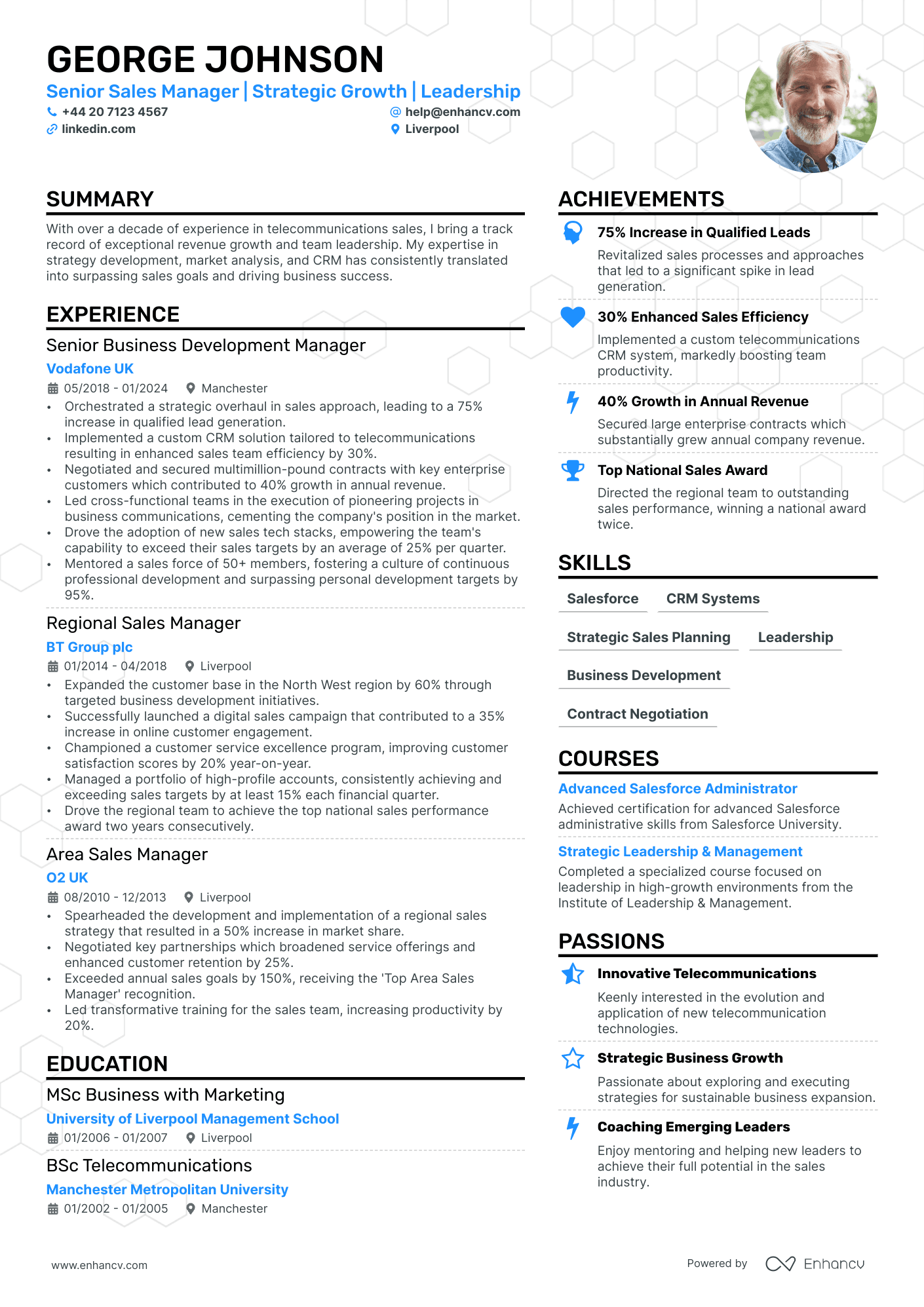 Business Manager cv example