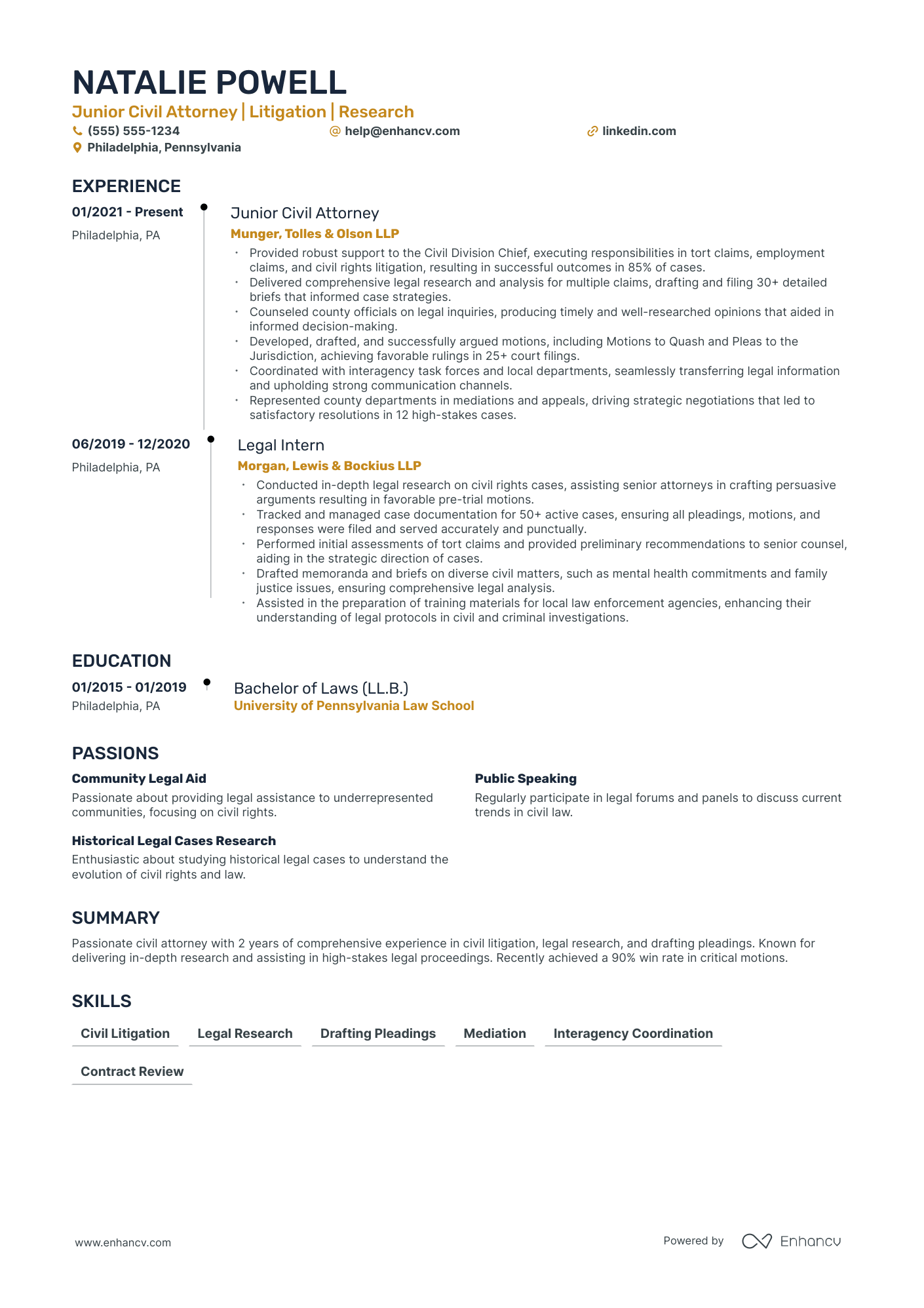 Civil Rights Lawyer resume example