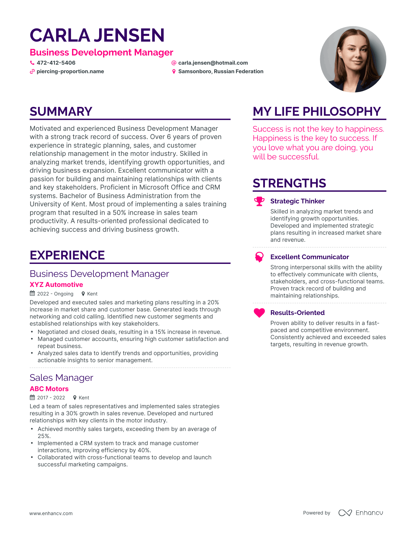 Modern Business Development Manager Resume Example