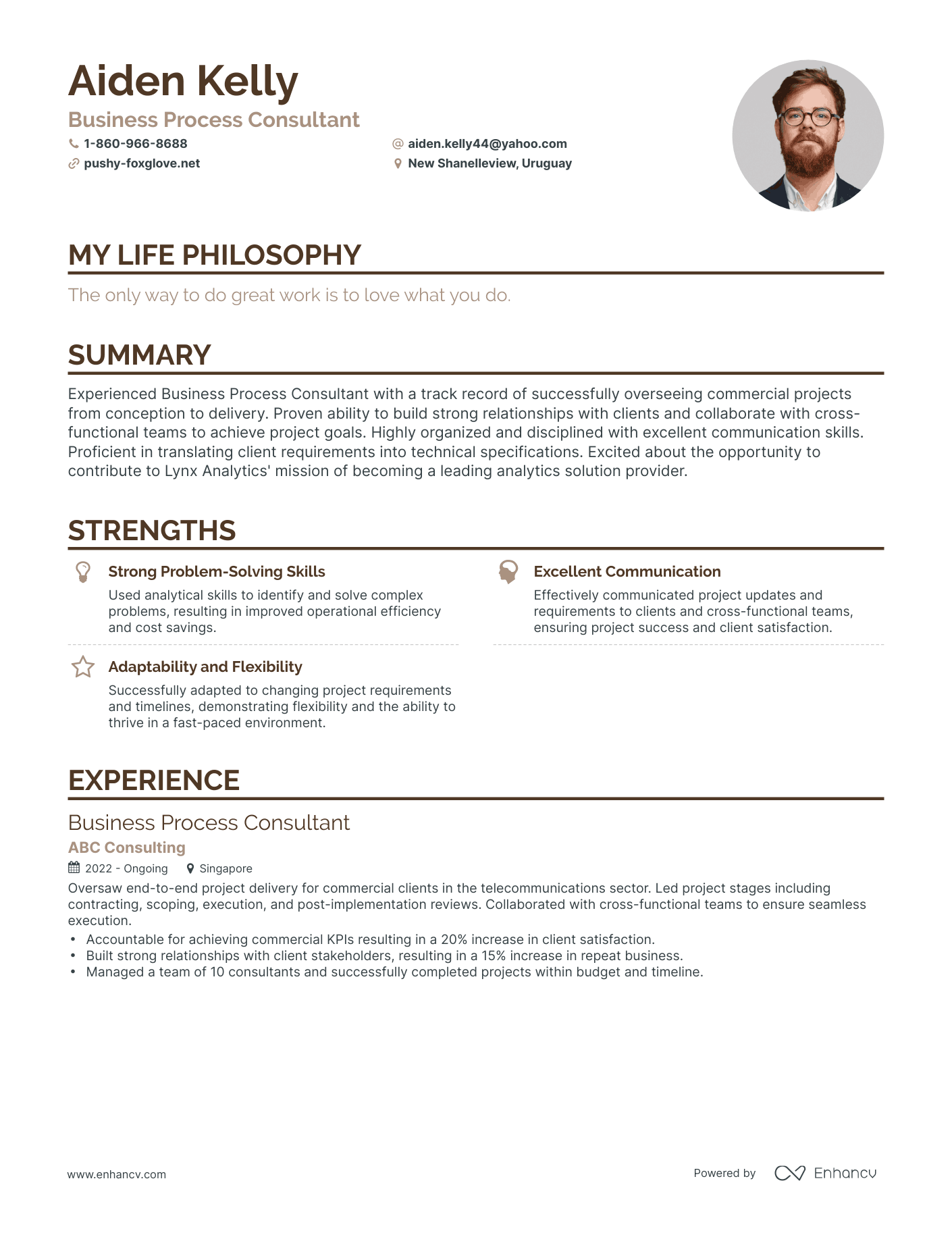 Creative Business Process Consultant Resume Example