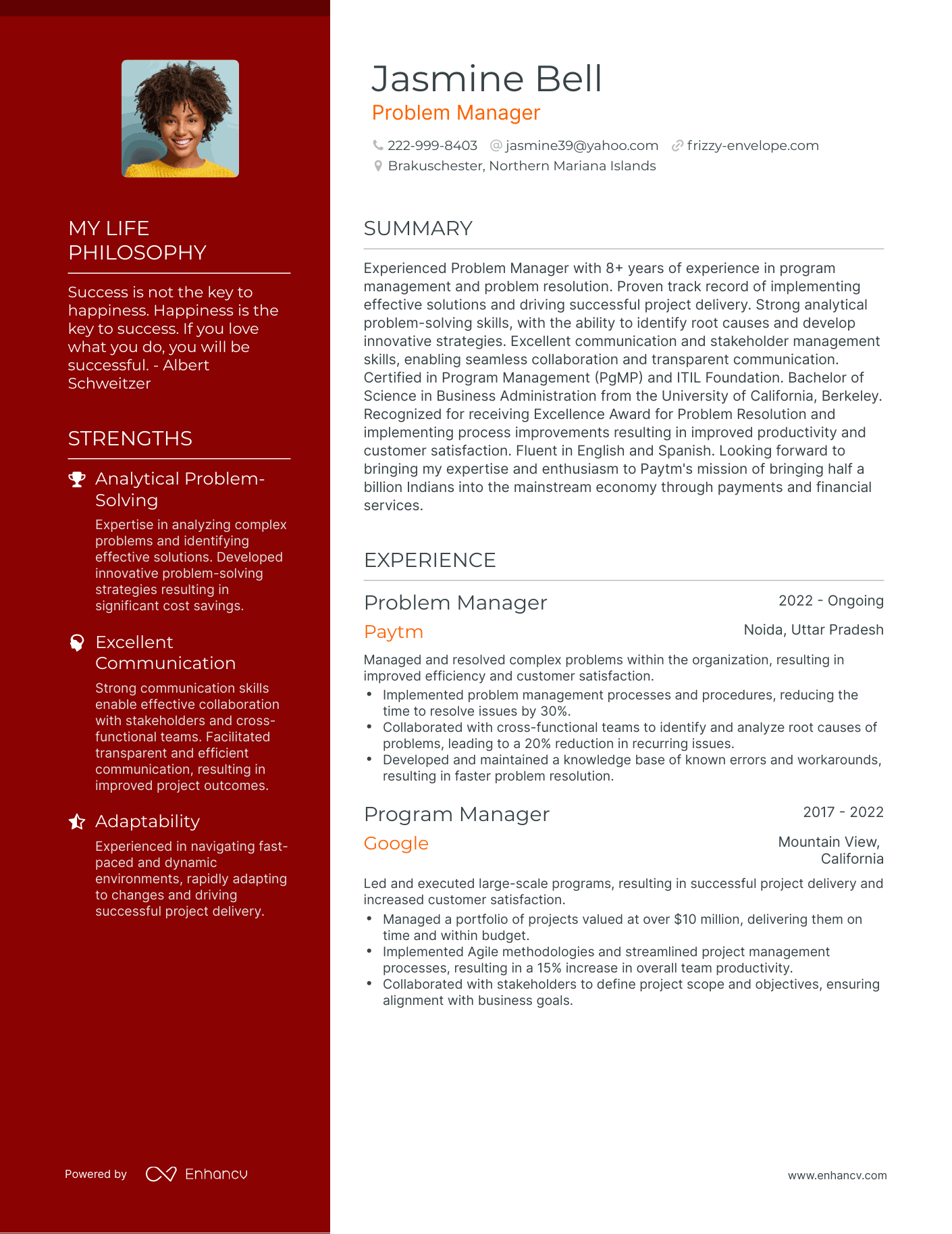Creative Problem Manager Resume Example