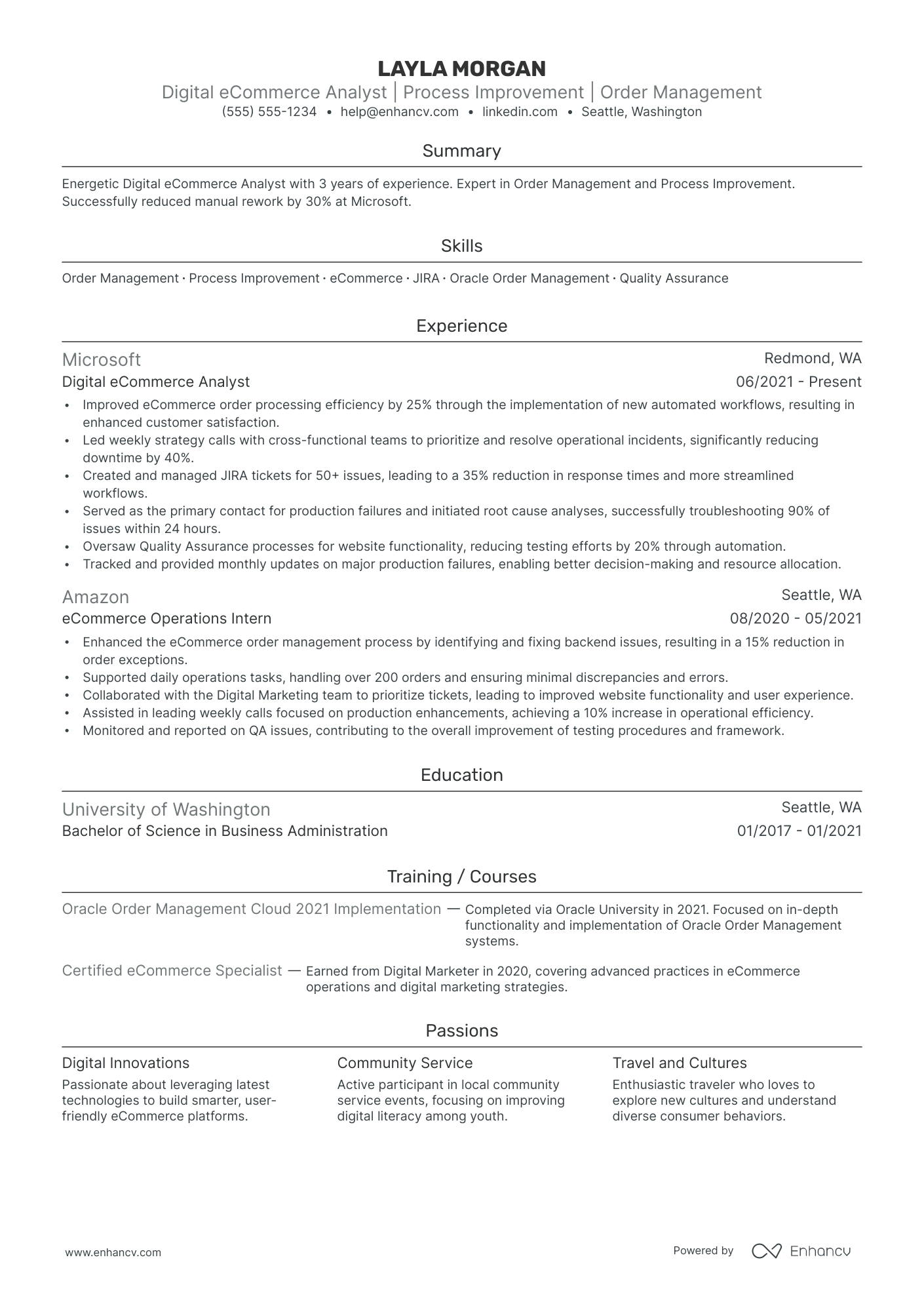 Ecommerce Analyst resume example