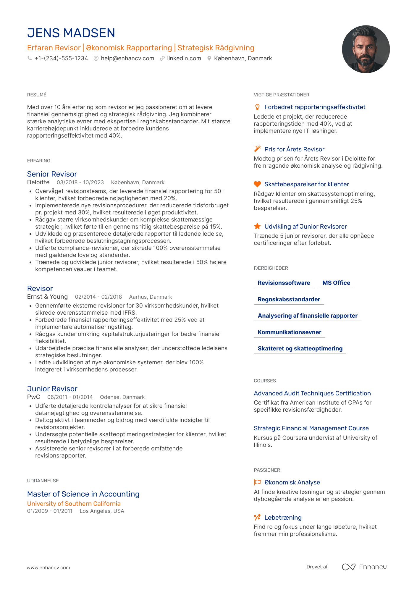 Revisor CV