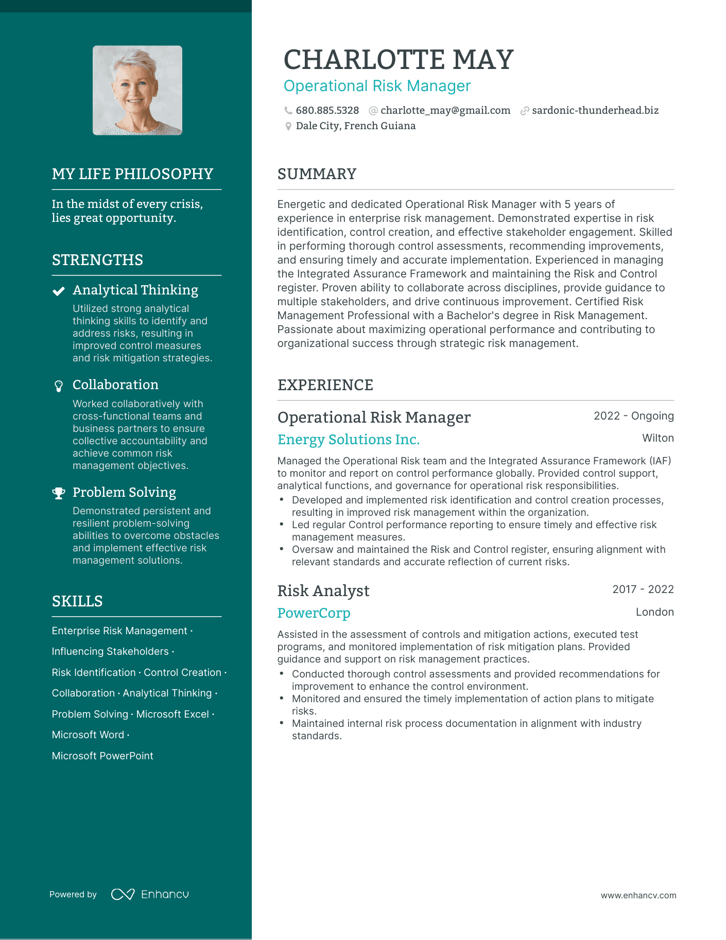 Creative Operational Risk Manager Resume Example