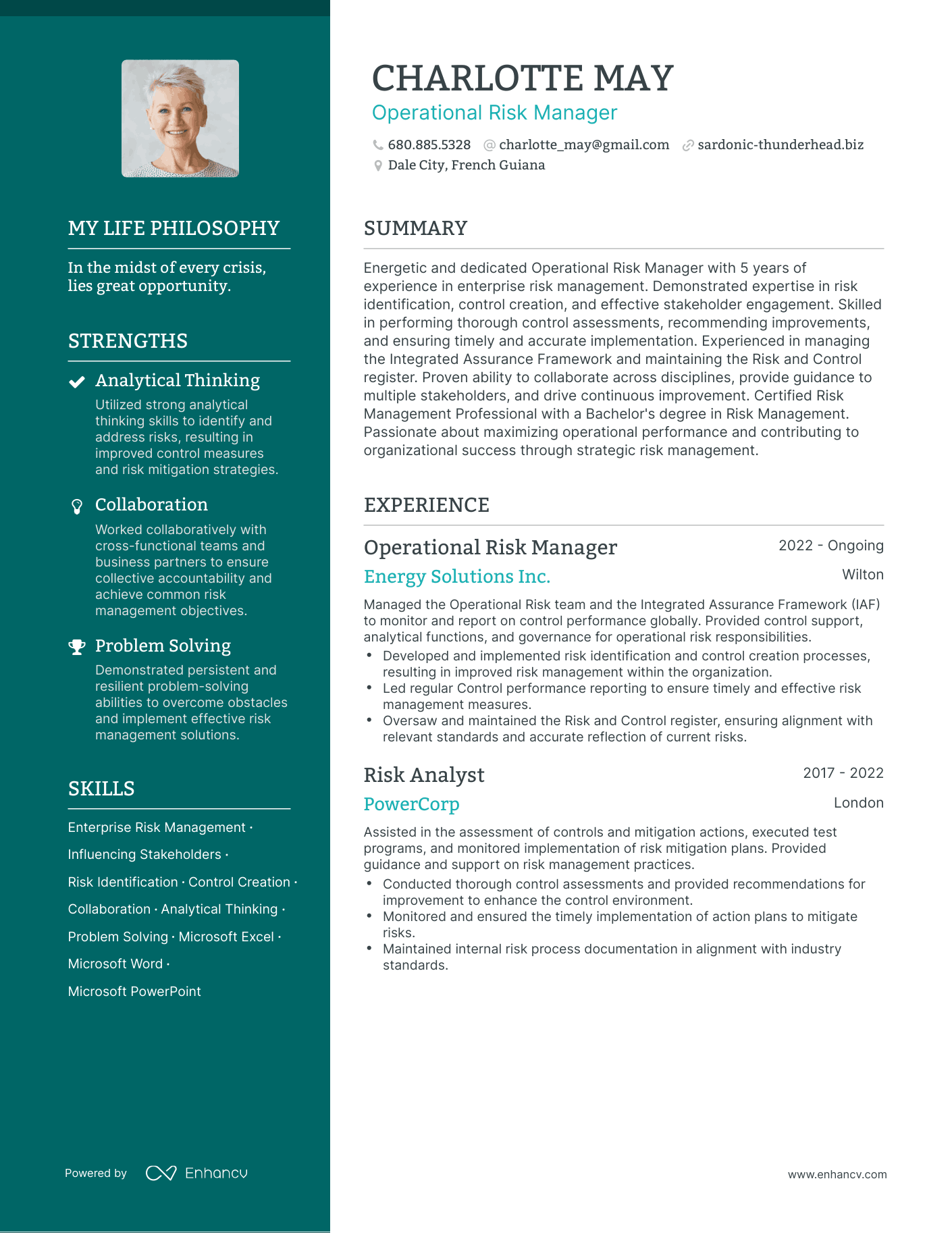 3 Successful Operational Risk Manager Resume Examples And Writing Tips   Image 