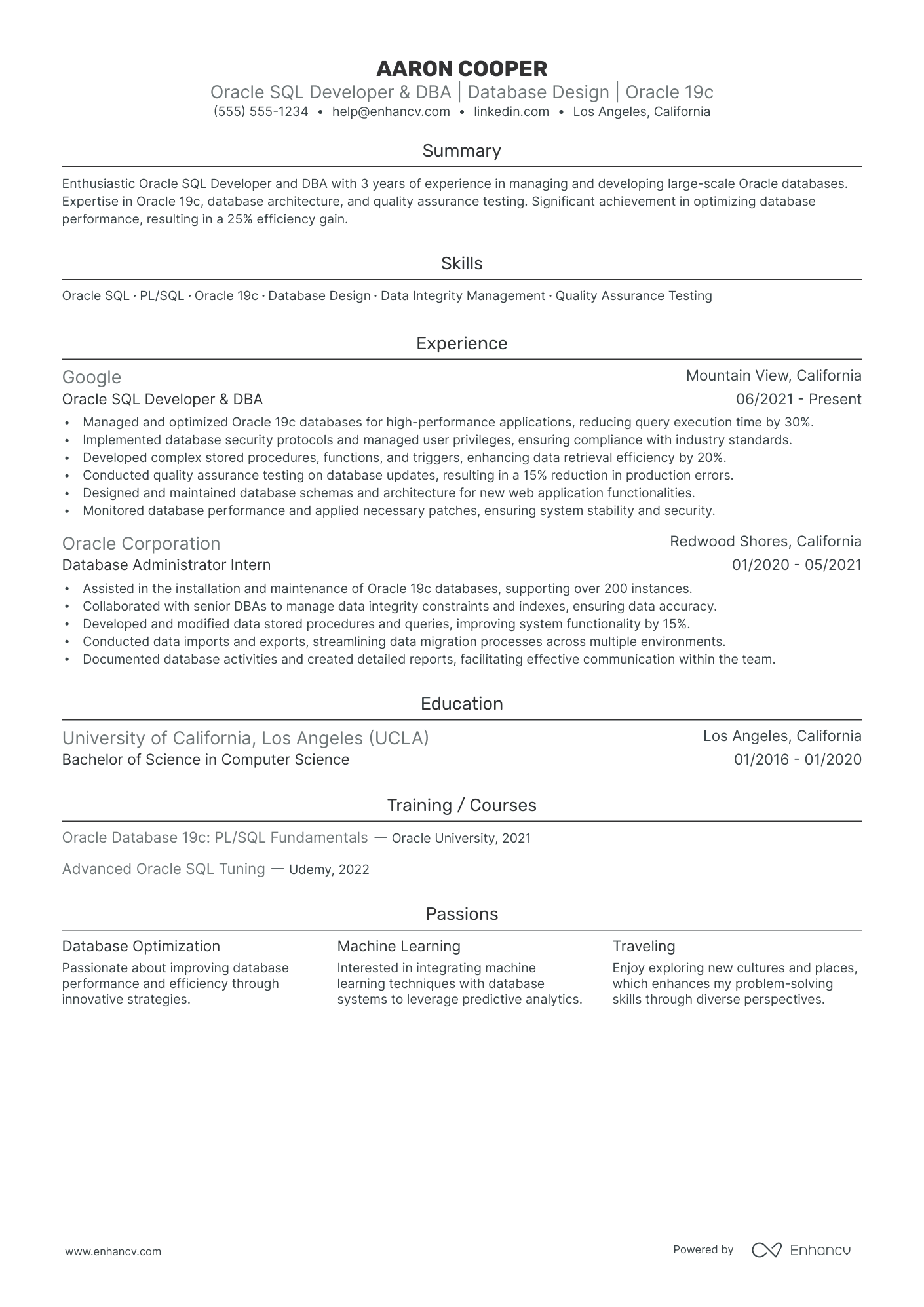 SQL Web Developer resume example