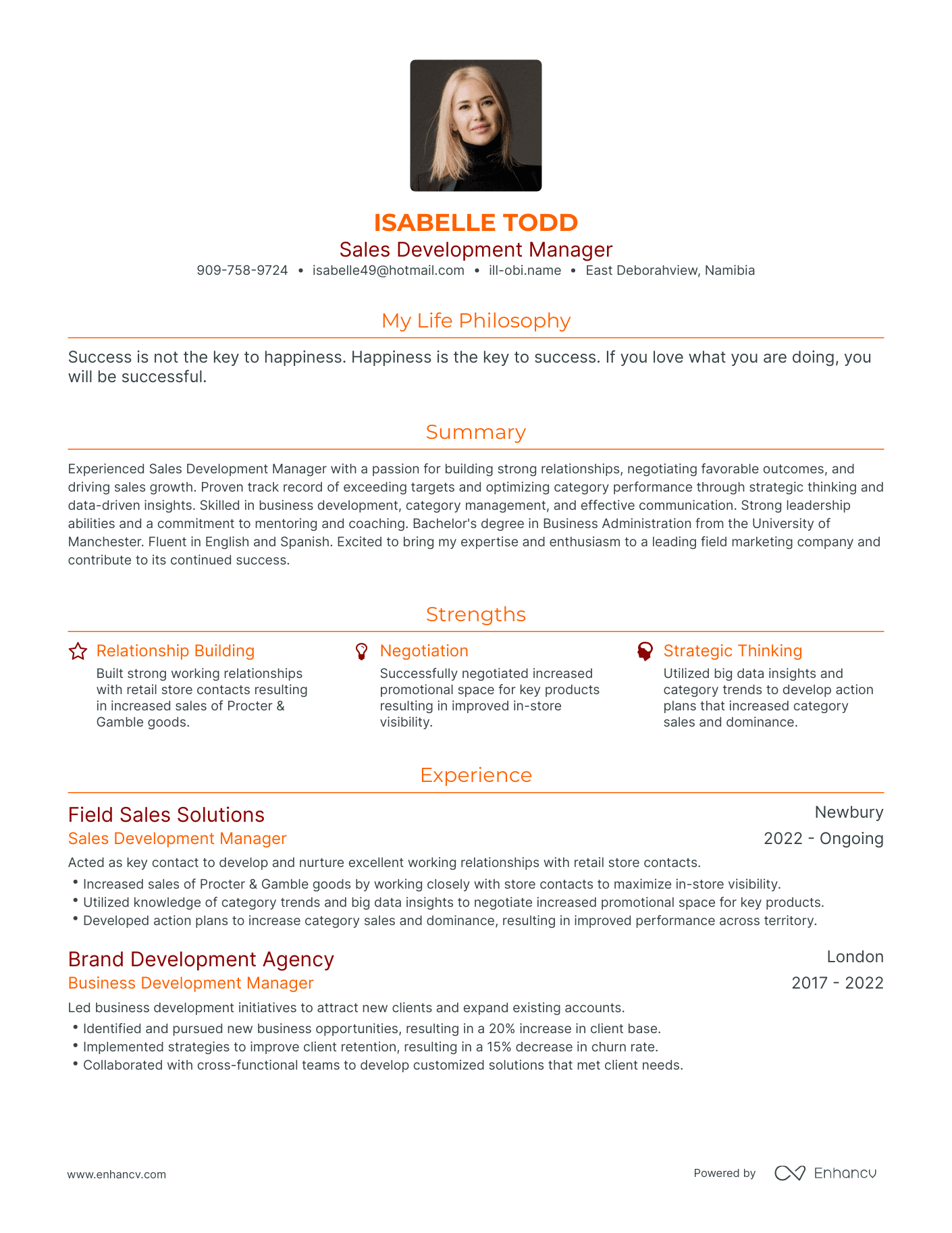 Modern Sales Development Manager Resume Example