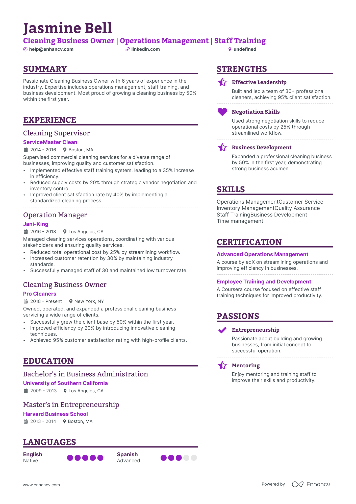 cleaning business owner resume example