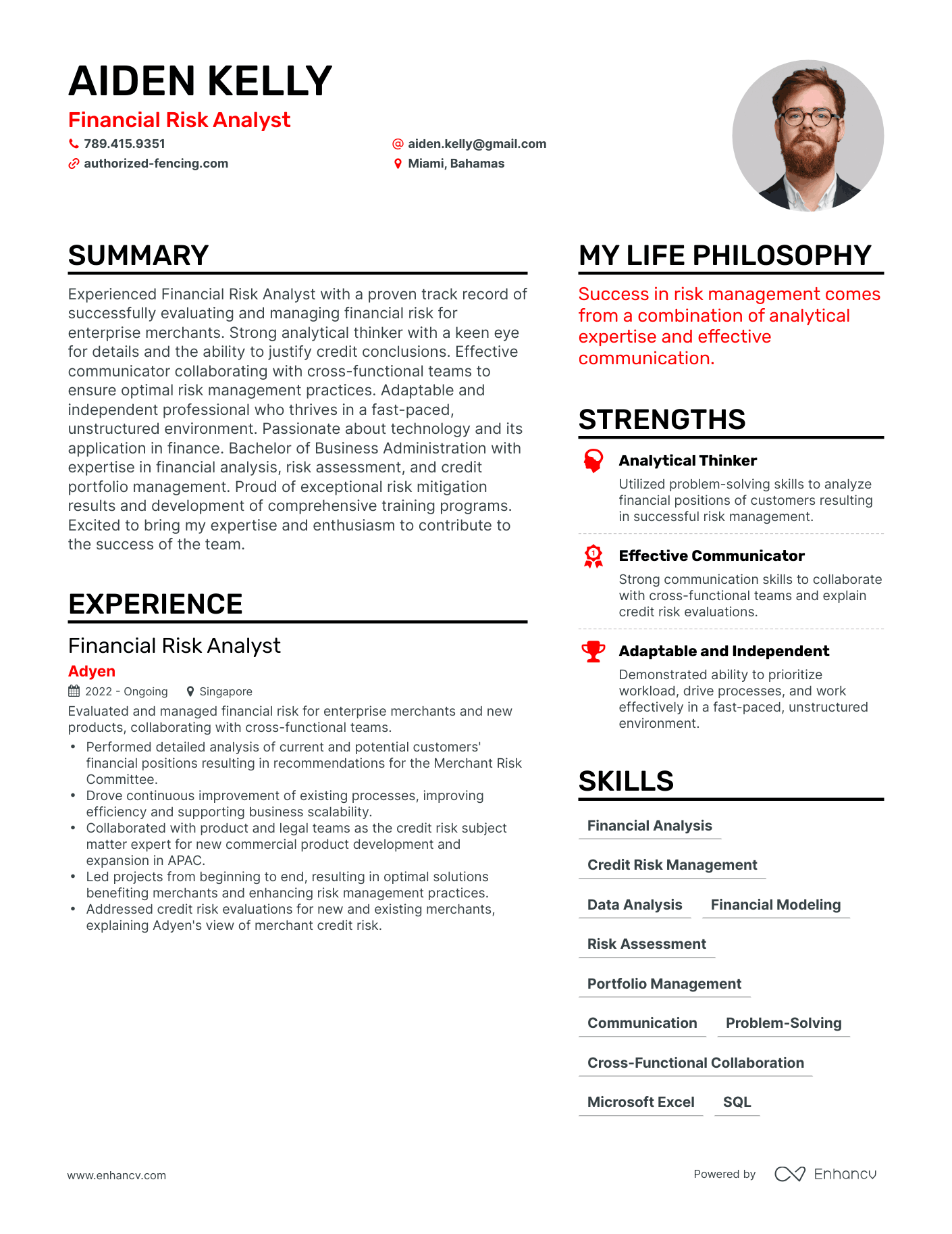 Modern Financial Risk Analyst Resume Example