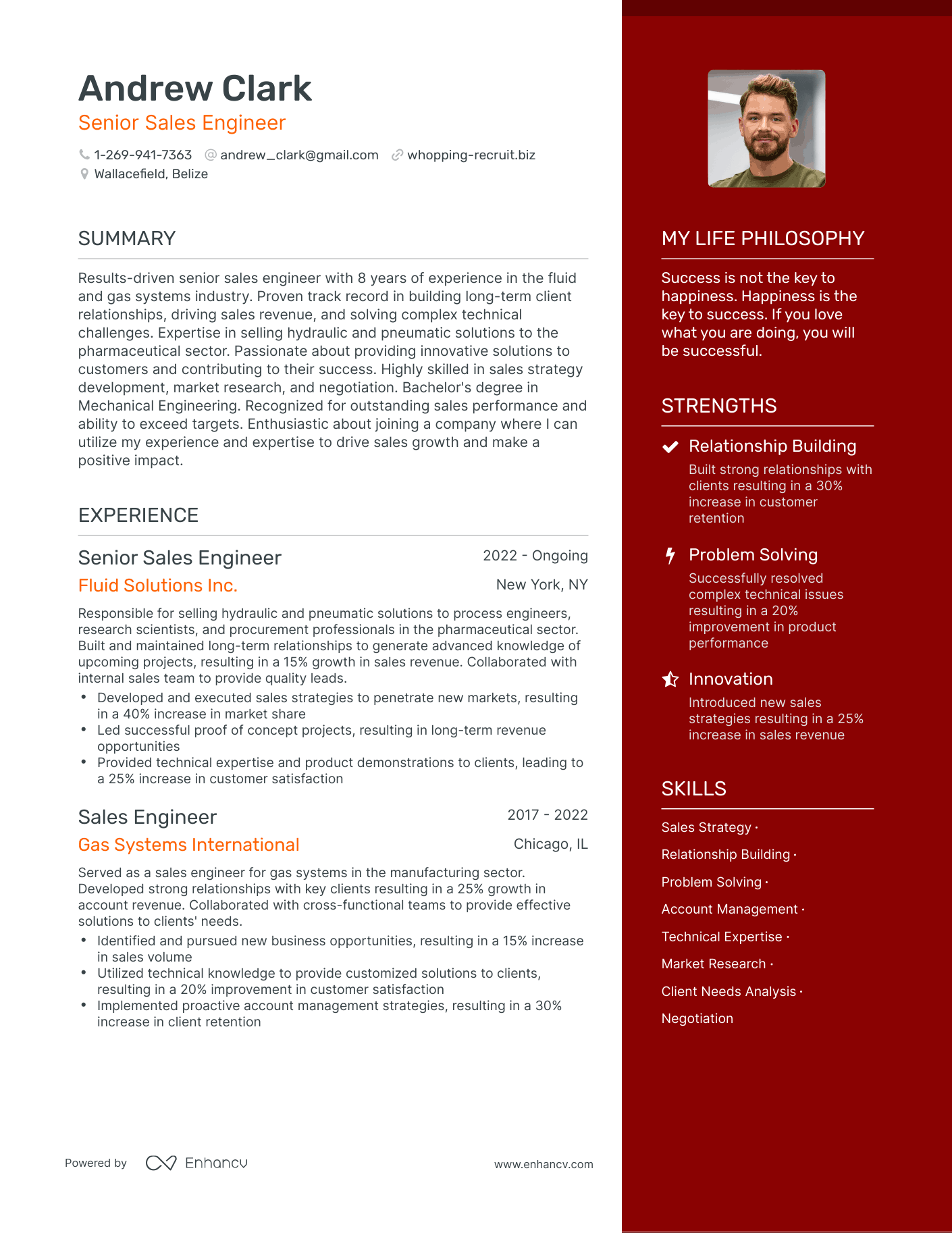 Senior Sales Engineer resume example