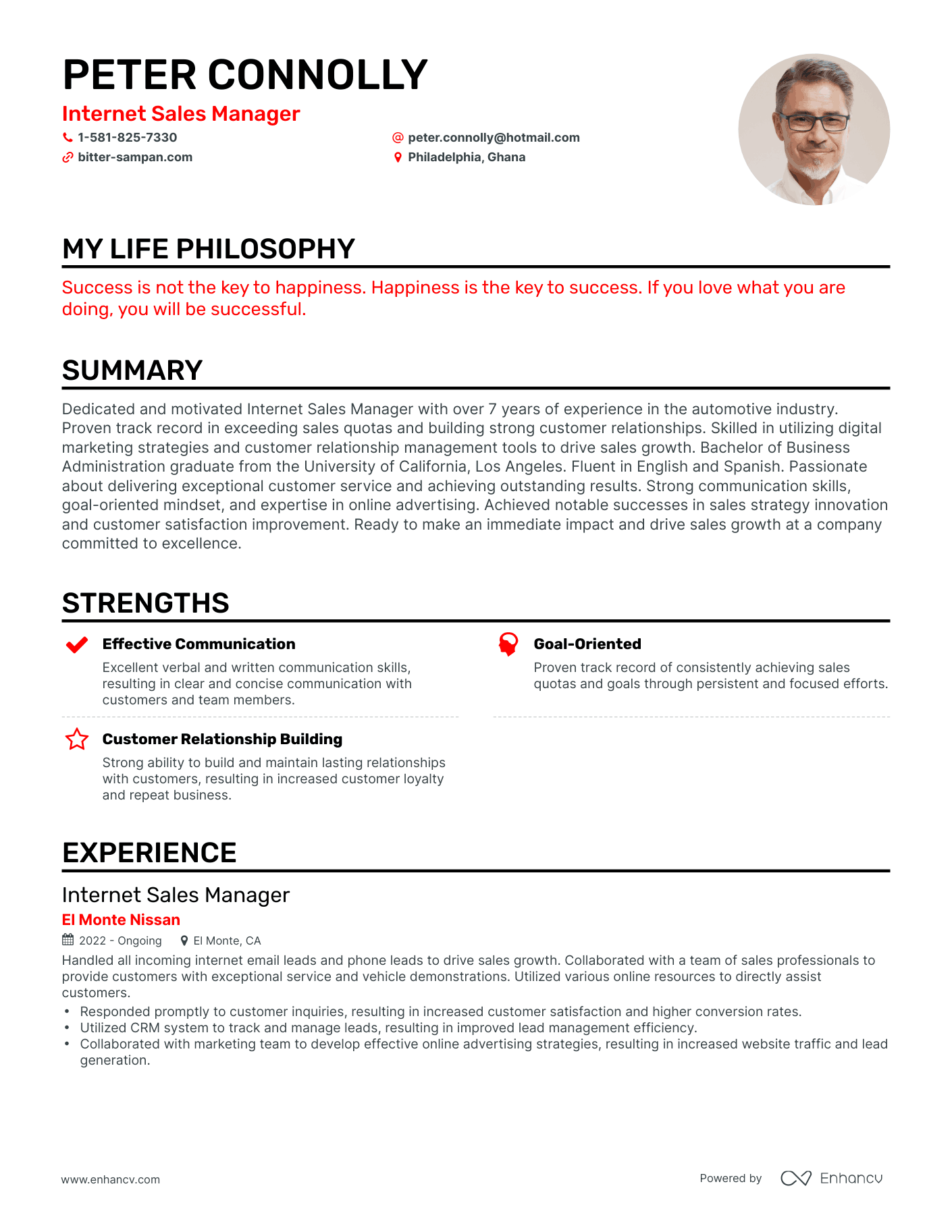 Creative Internet Sales Manager Resume Example