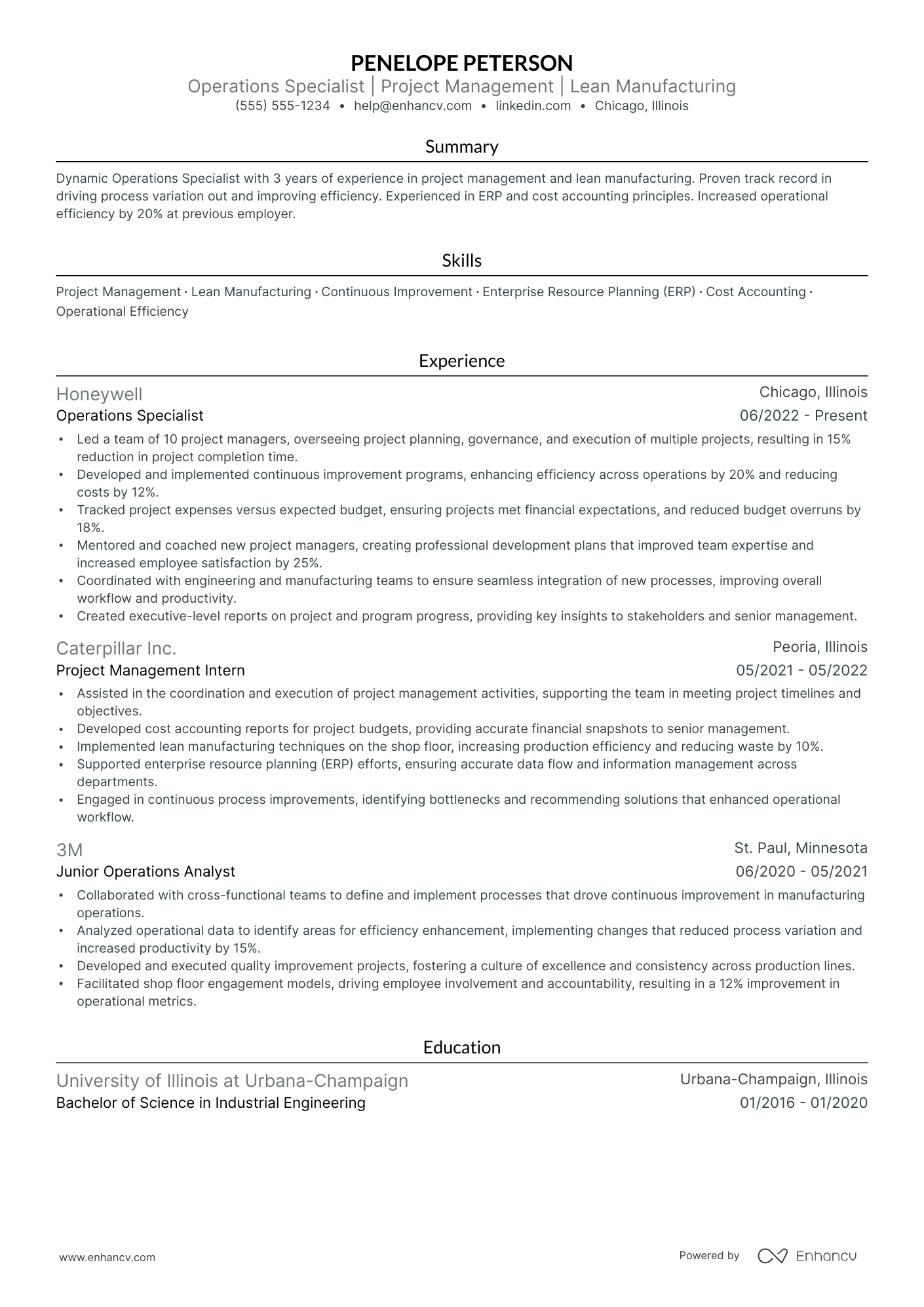 PMO Operations Manager resume example