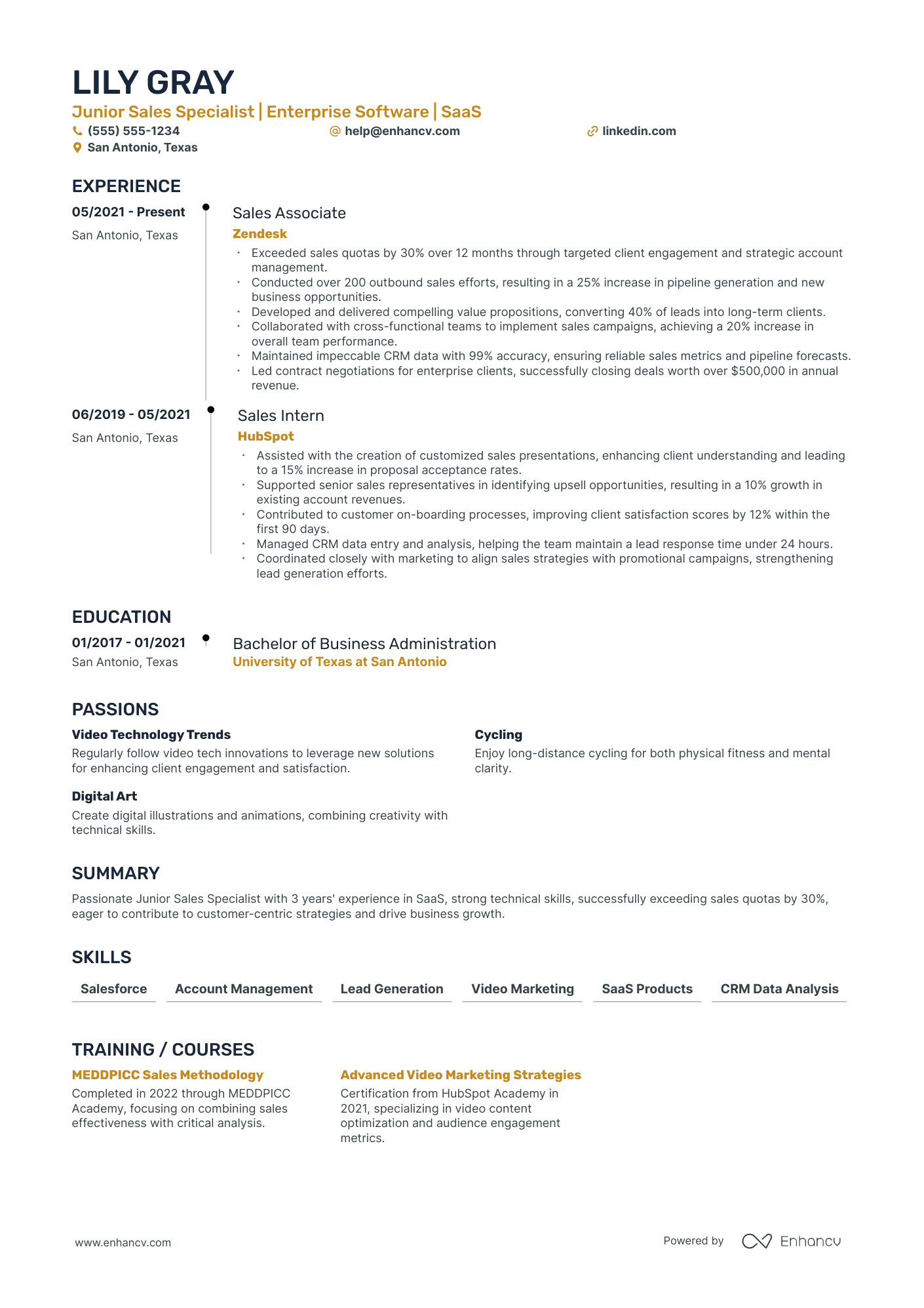 Strategic Sales Director resume example