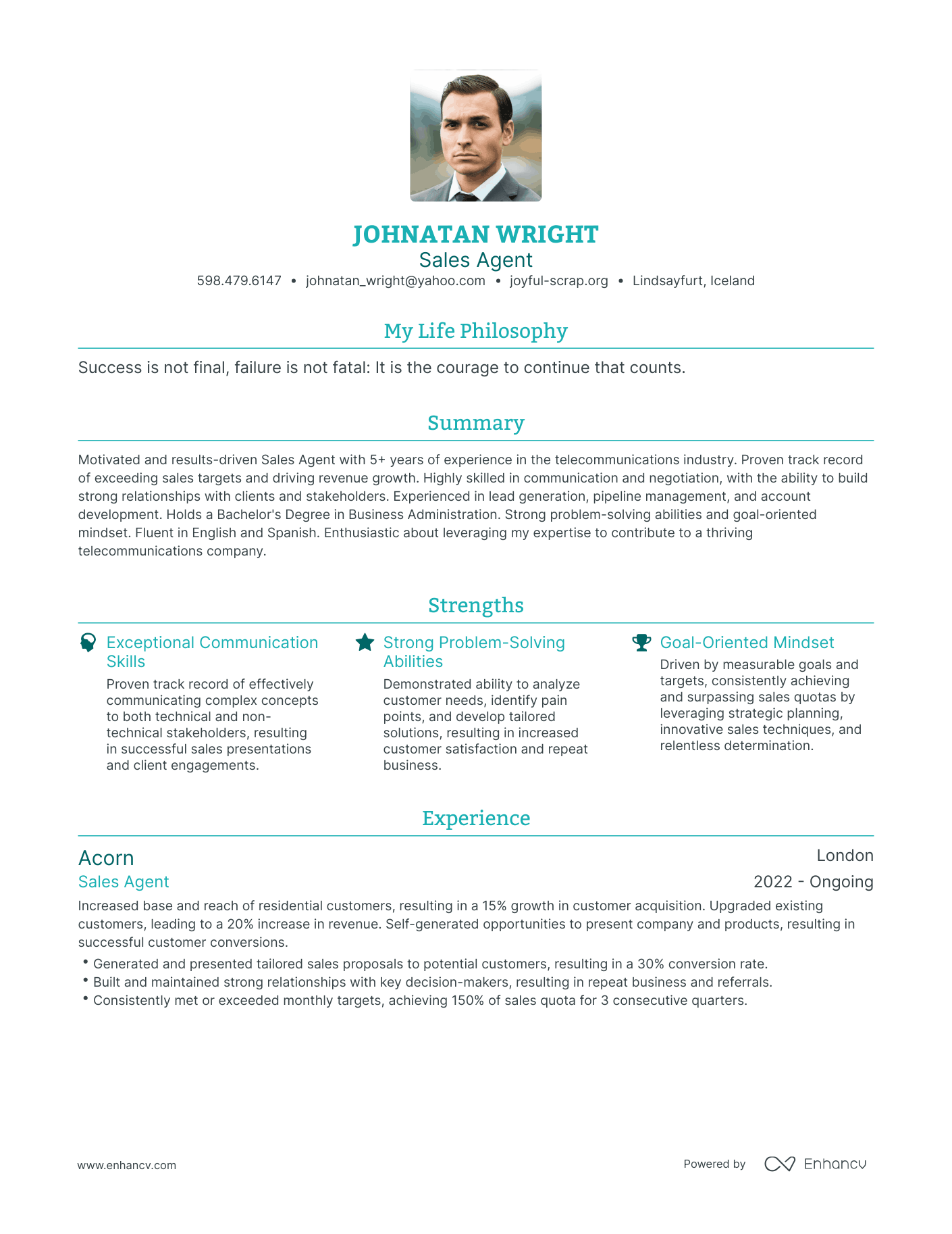 Modern Sales Agent Resume Example