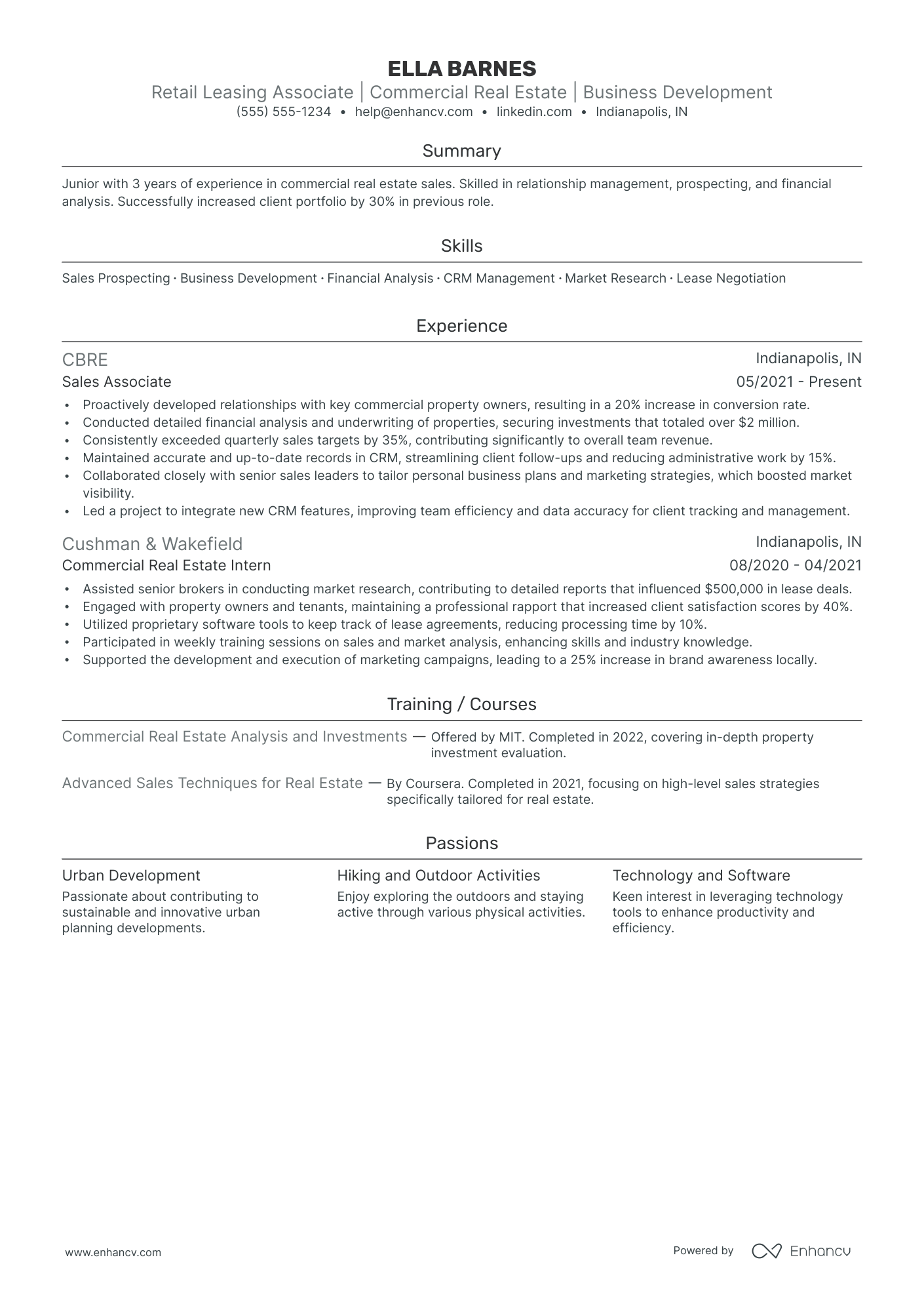 Real Estate Agent Team Leader resume example