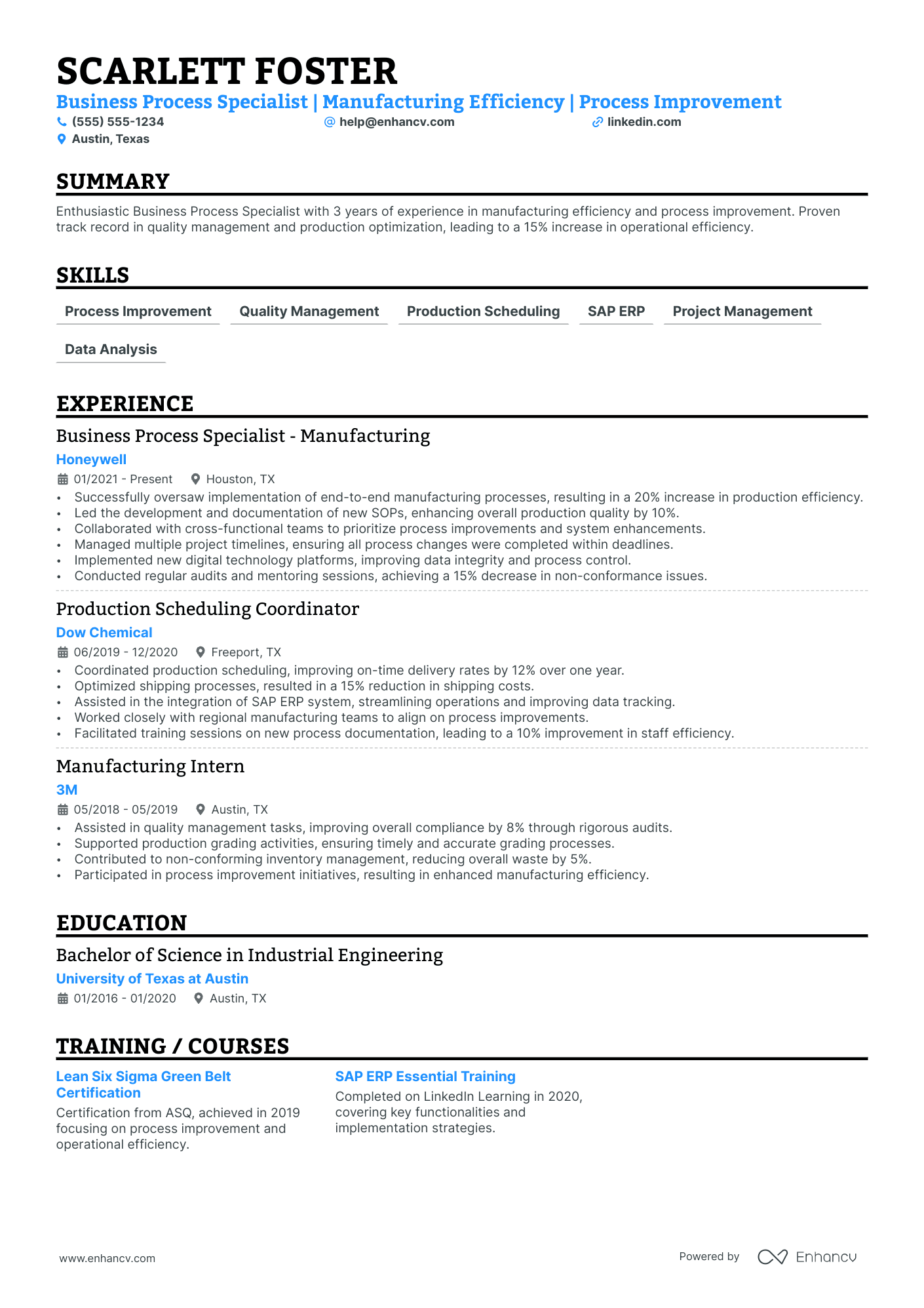 Business Owner resume example