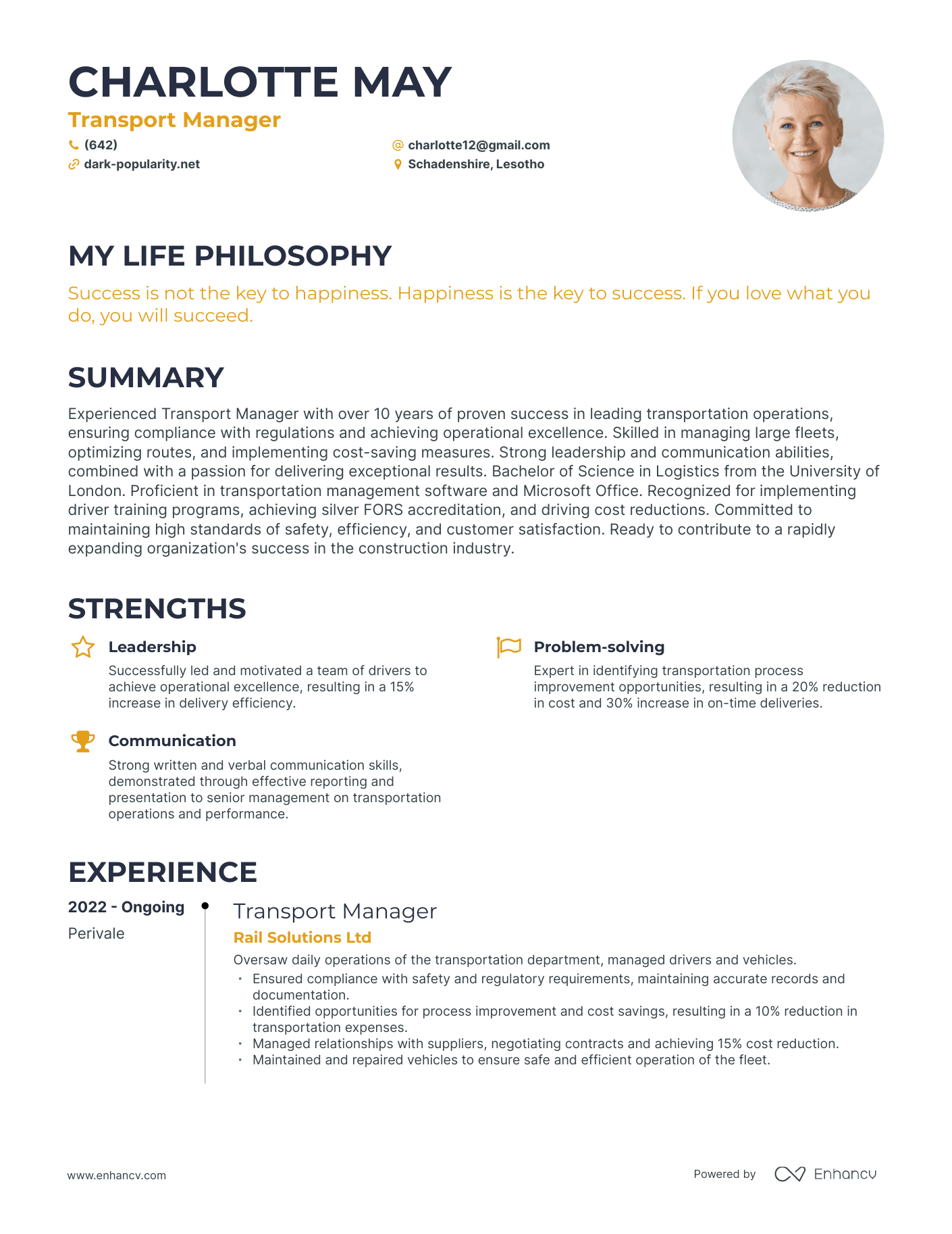 Creative Transport Manager Resume Example