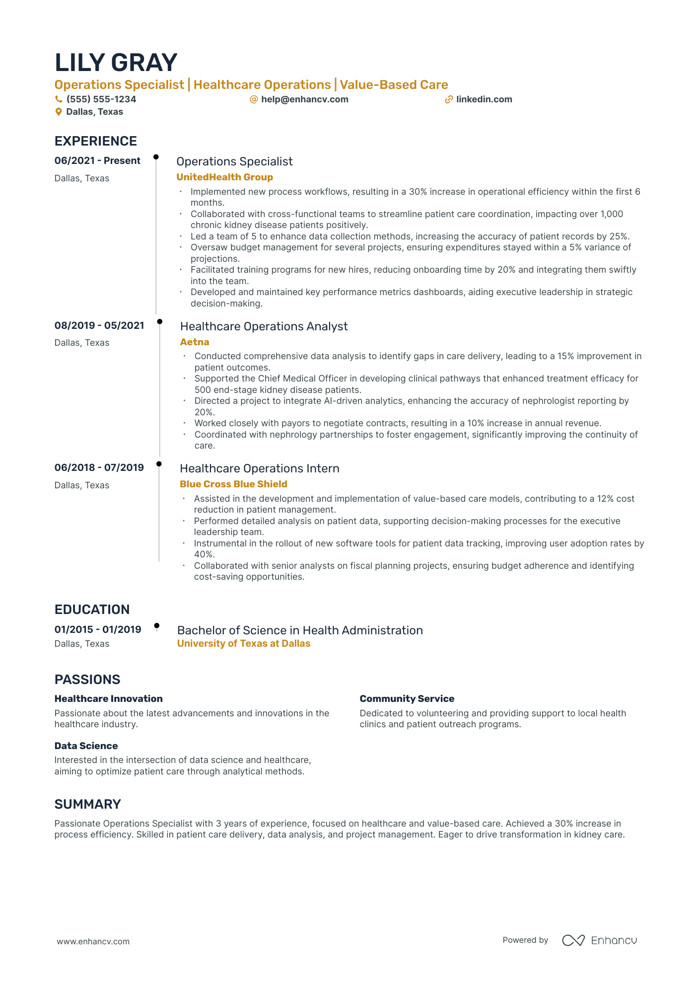 Senior Vice President of Operations resume example