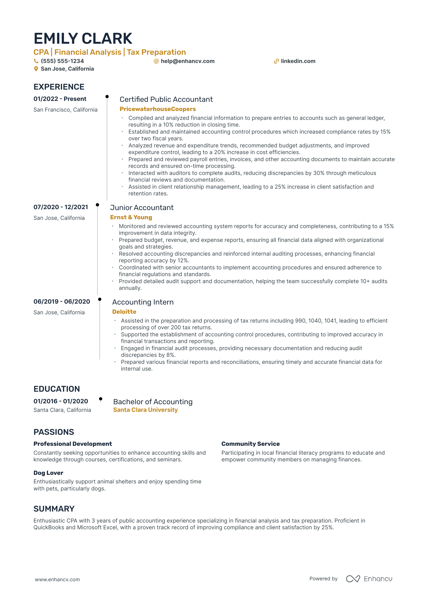 Certified Public Tax Accountant resume example