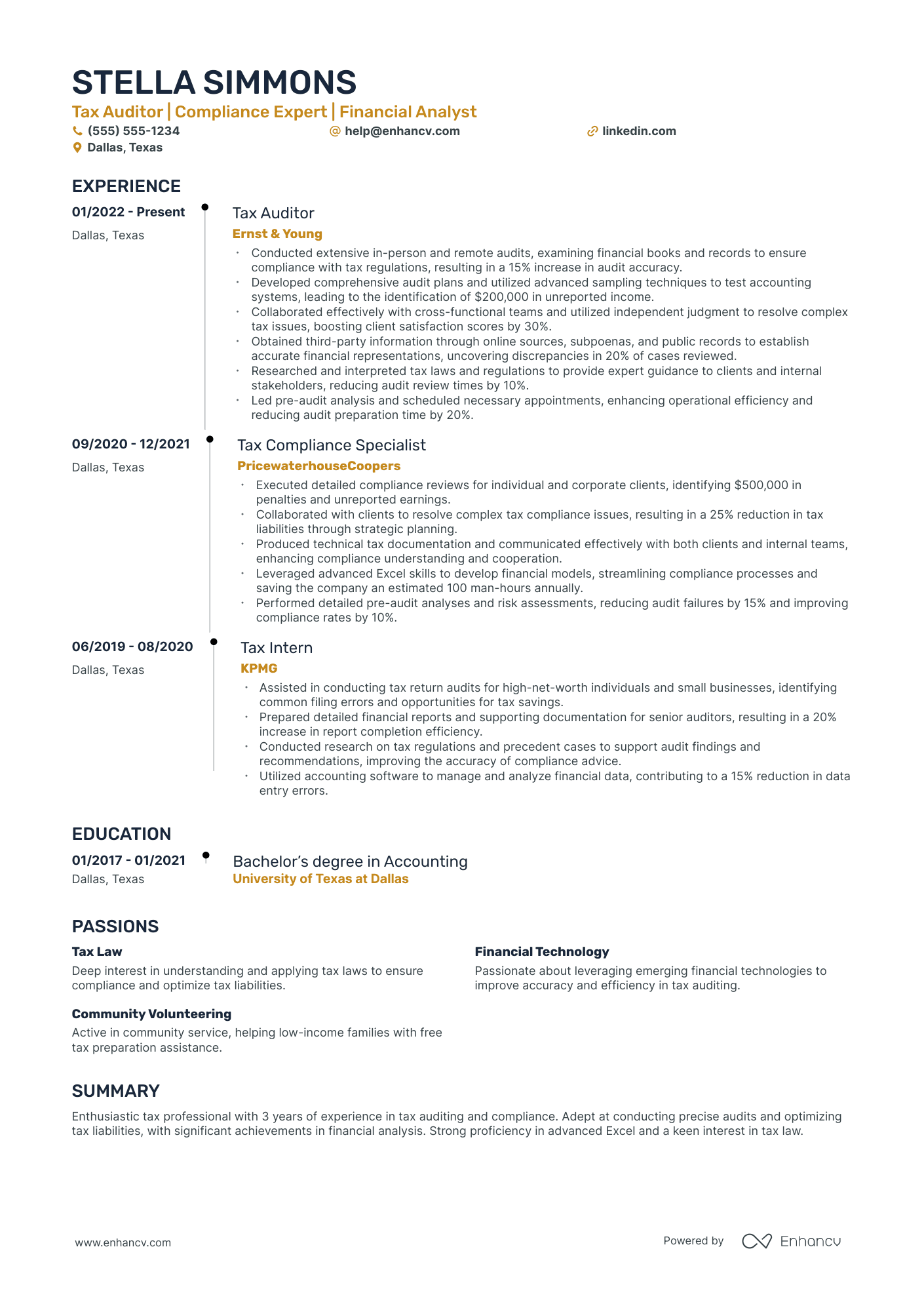 Tax Auditor resume example