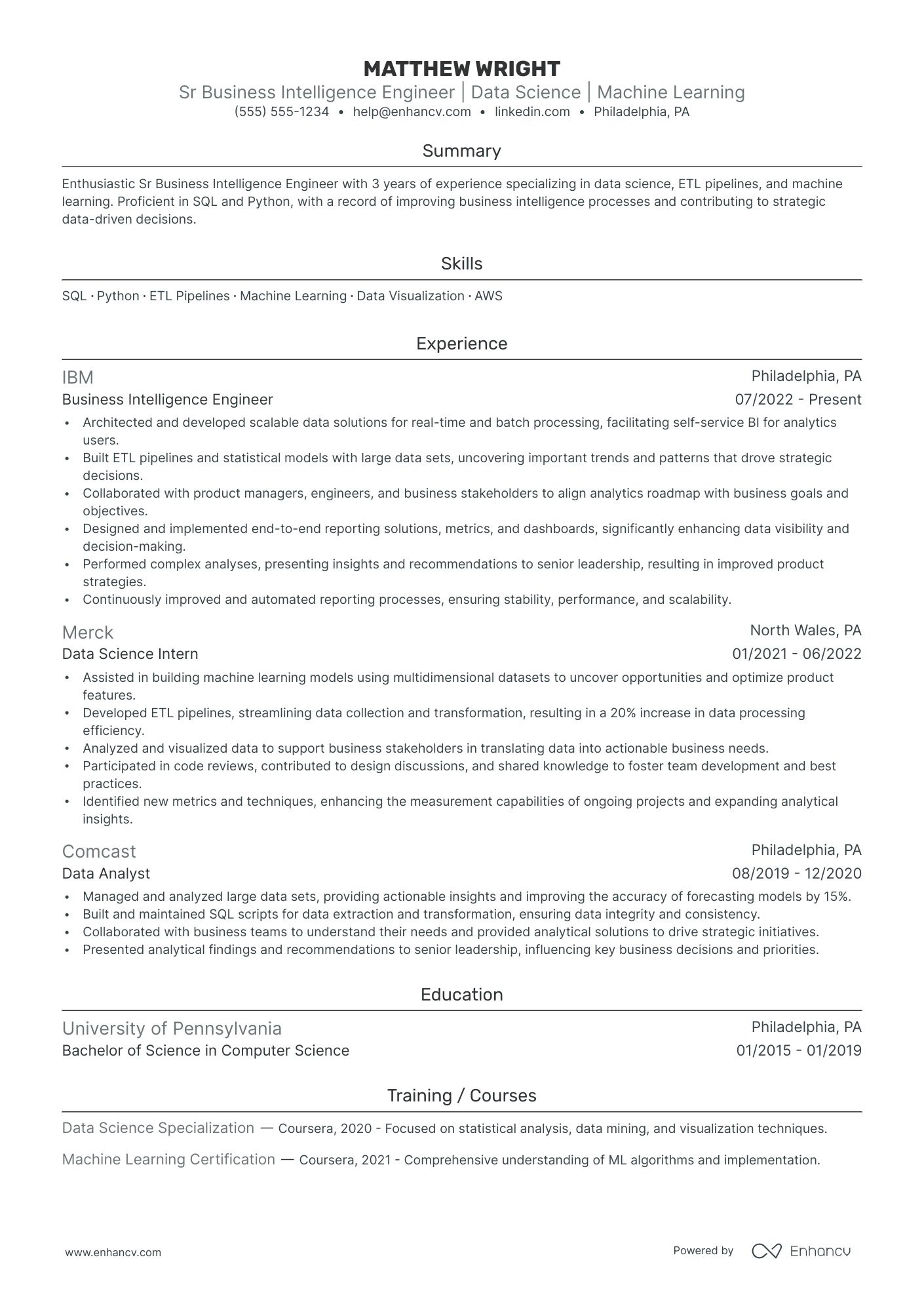 Business Intelligence Data Scientist resume example