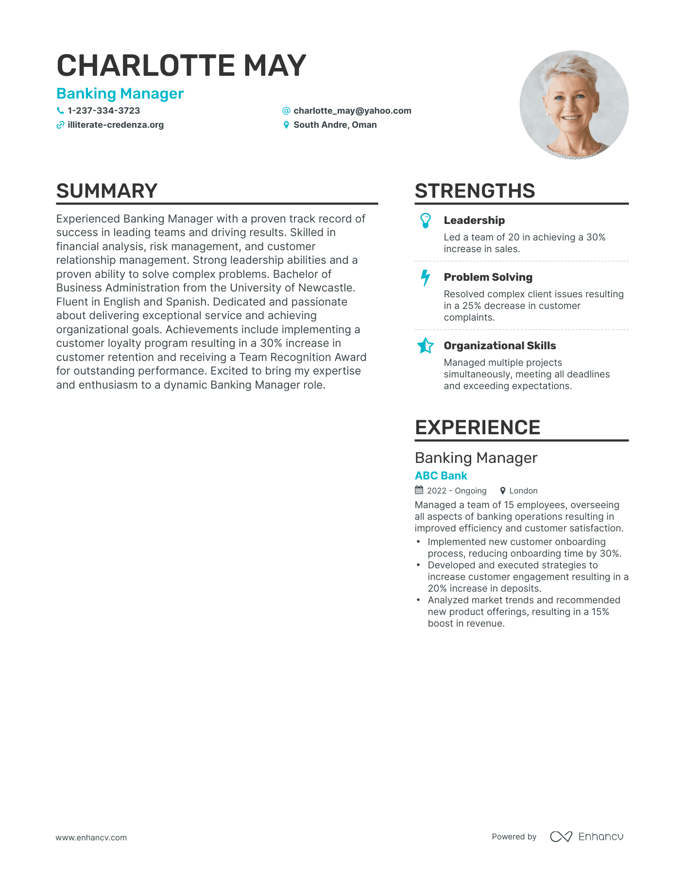 Modern Banking Manager Resume Example