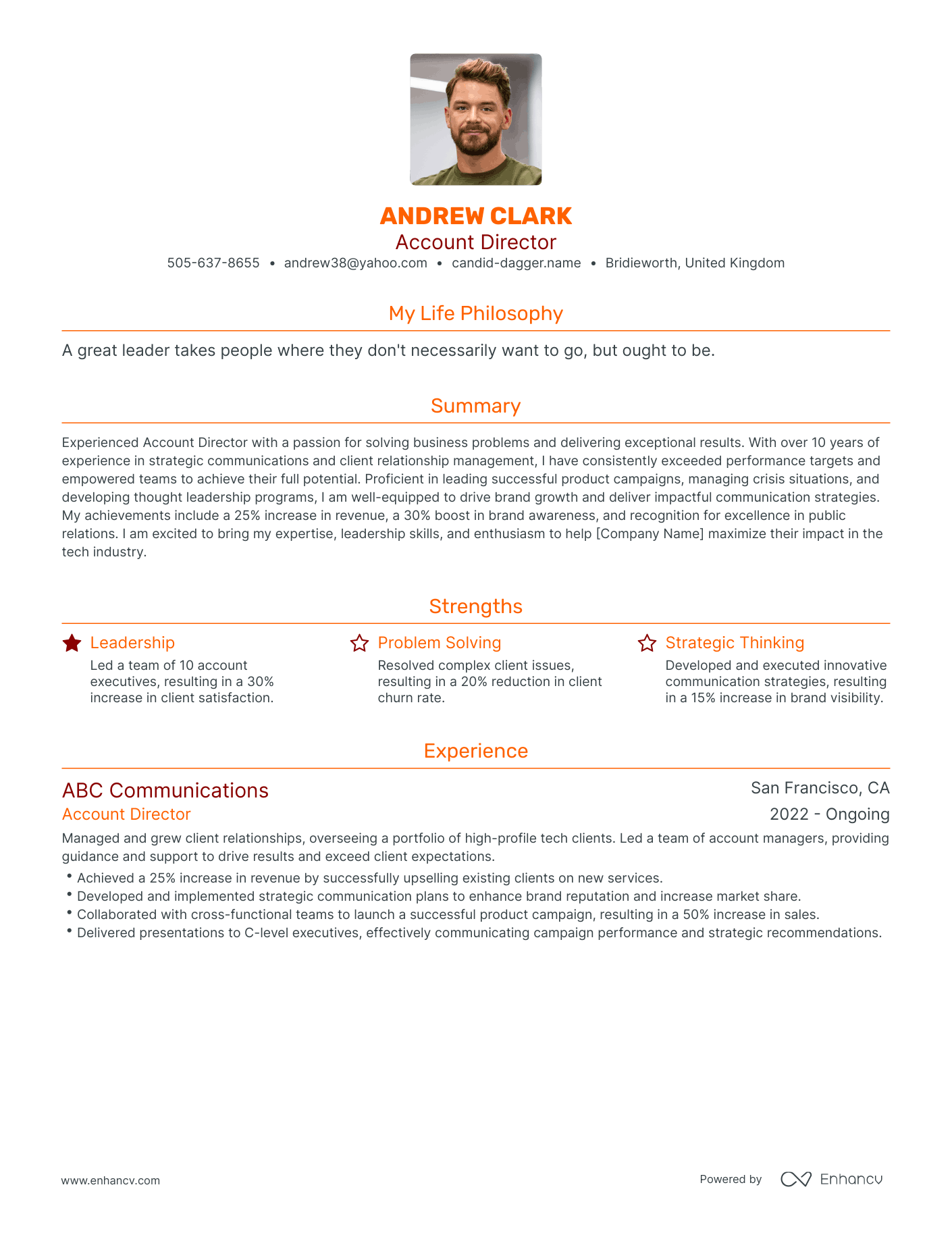Modern Account Director Resume Example