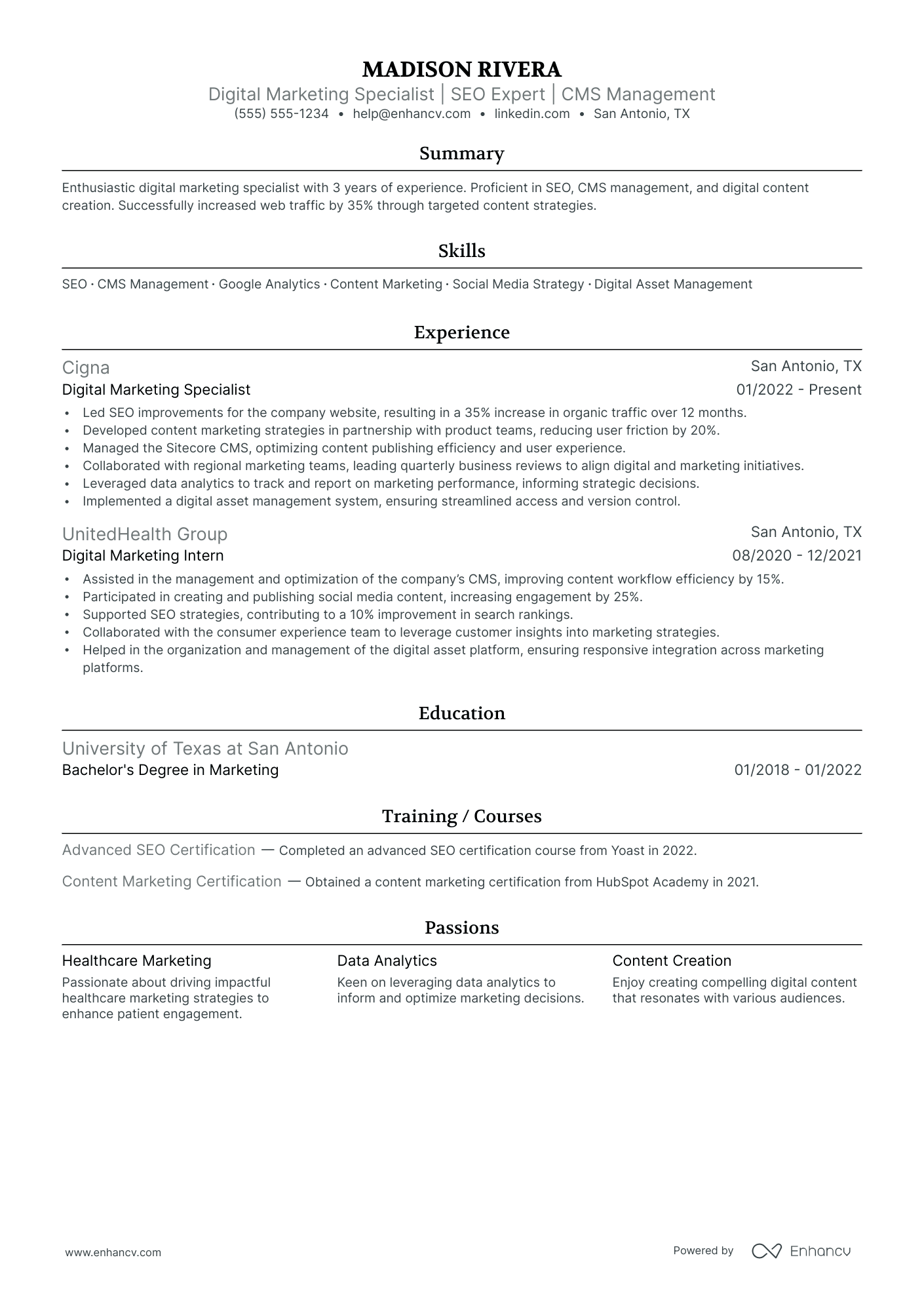 Senior Digital Marketing Director Resume Example Resume Example