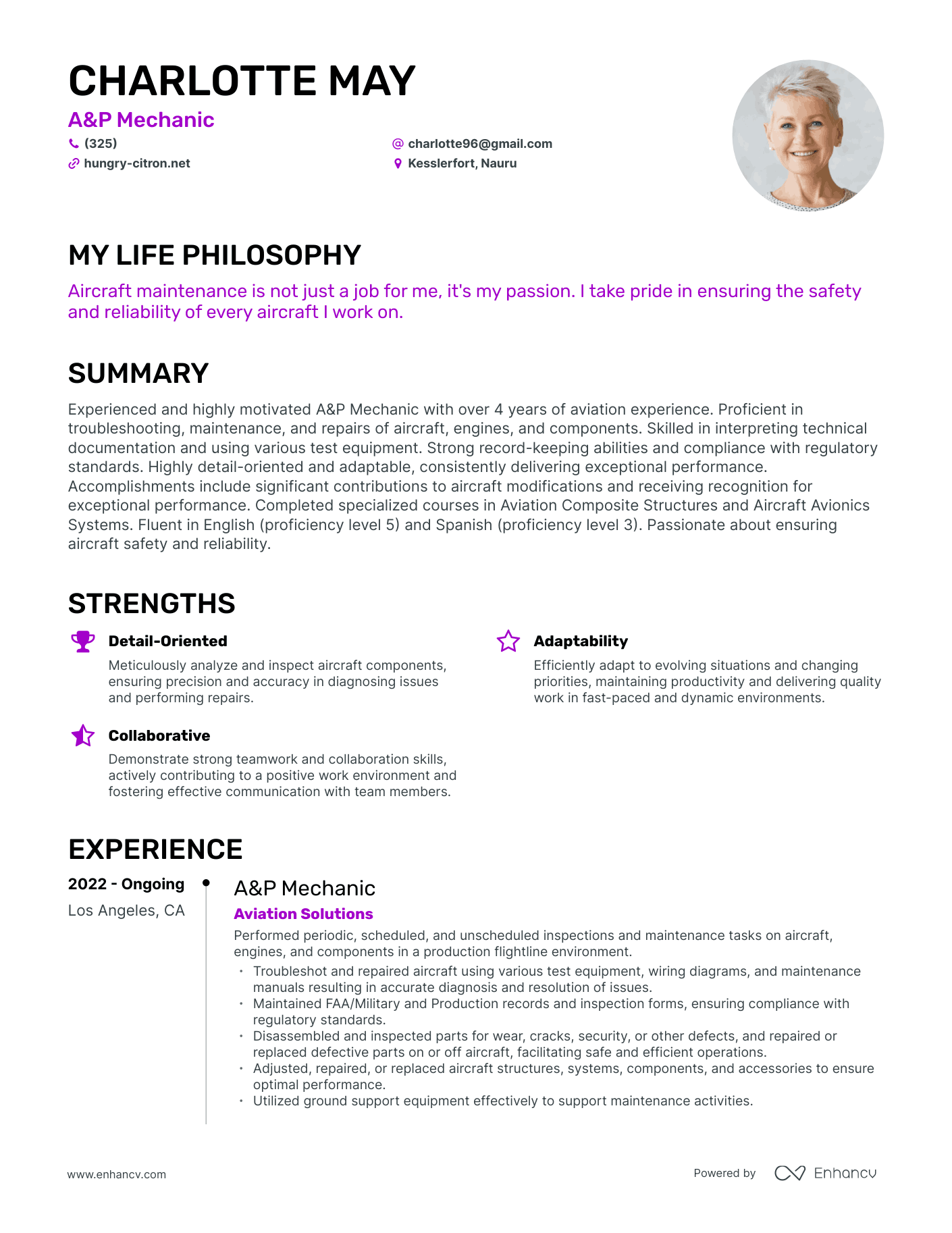 Creative A&P Mechanic Resume Example