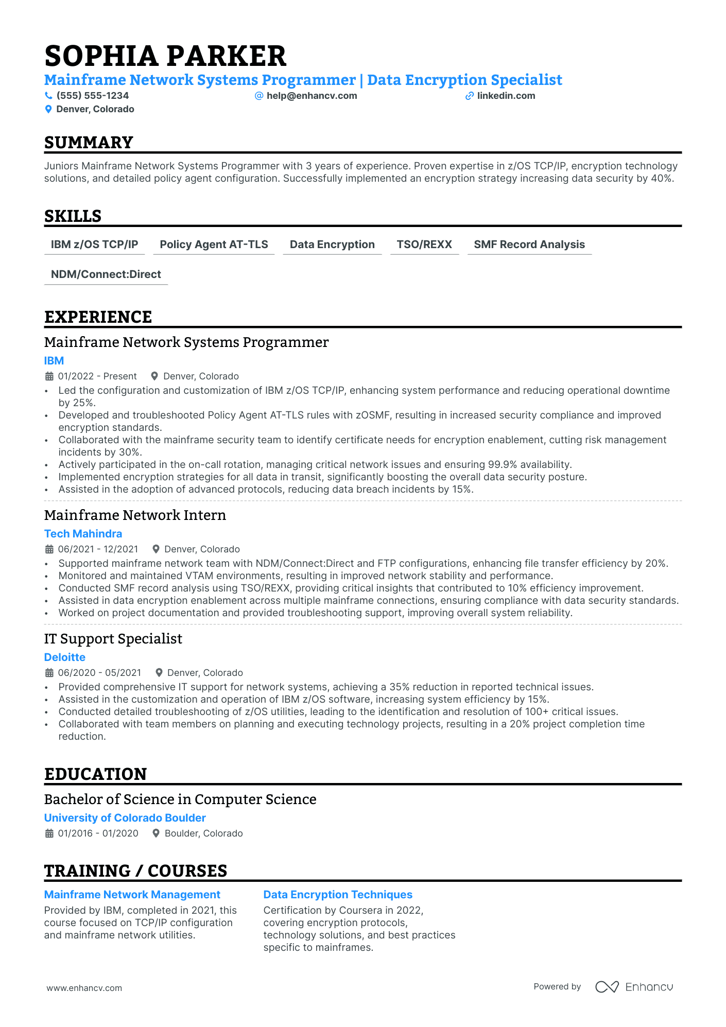 Network Programmer resume example