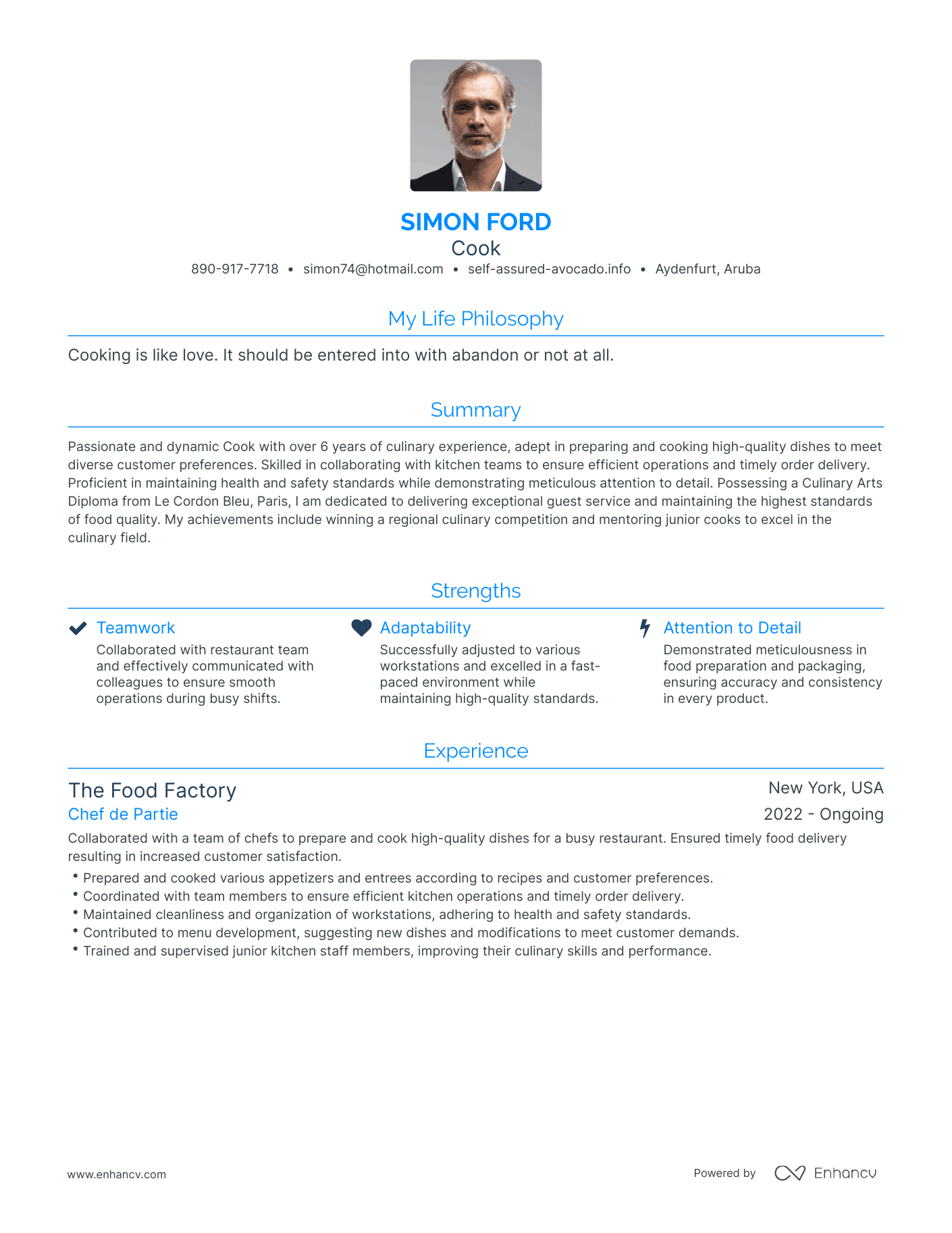 Modern Cook Resume Example