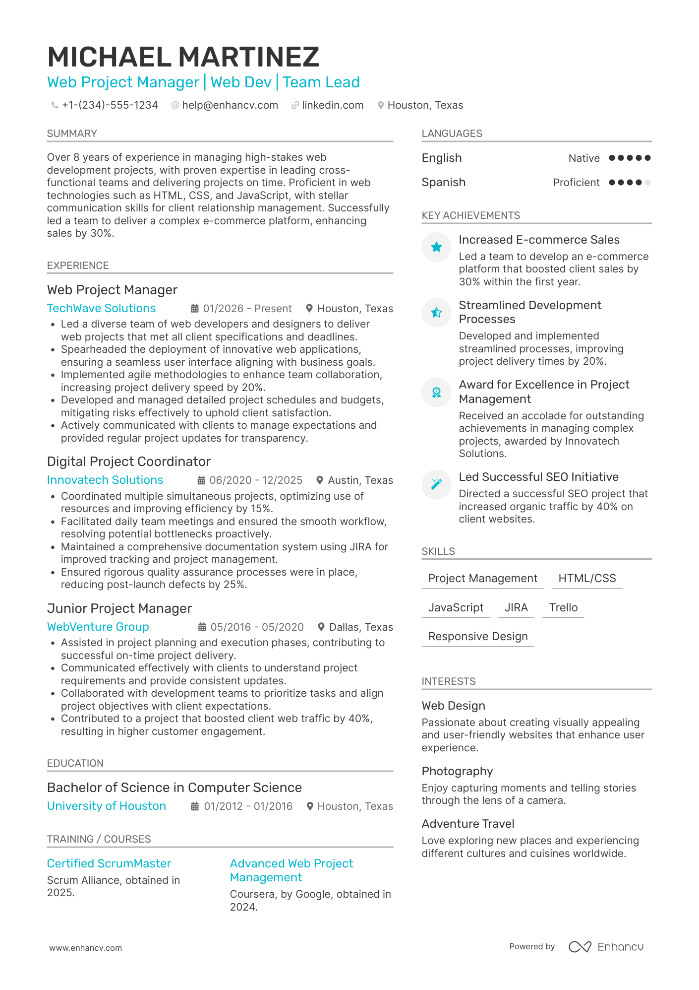 Web Project Manager resume example