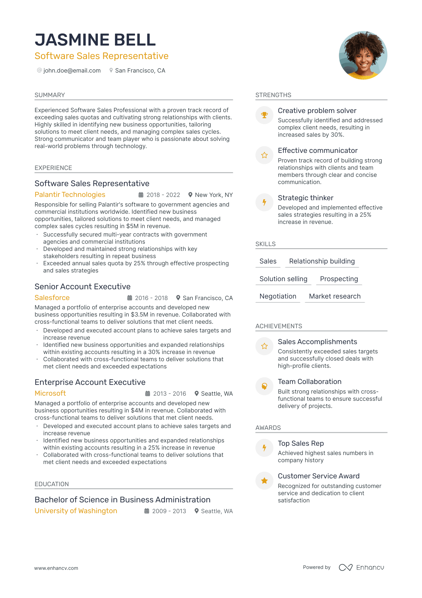 Software Sales resume example