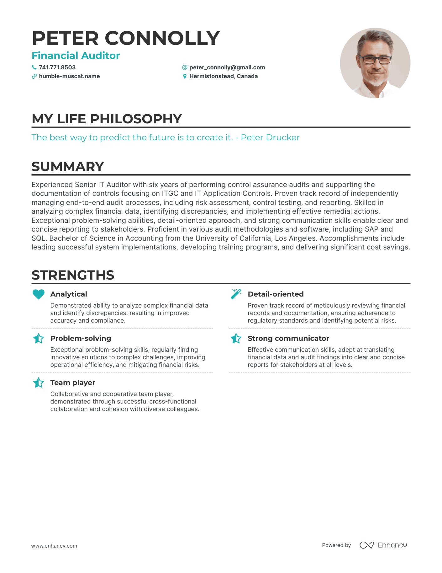 Creative Financial Auditor Resume Example
