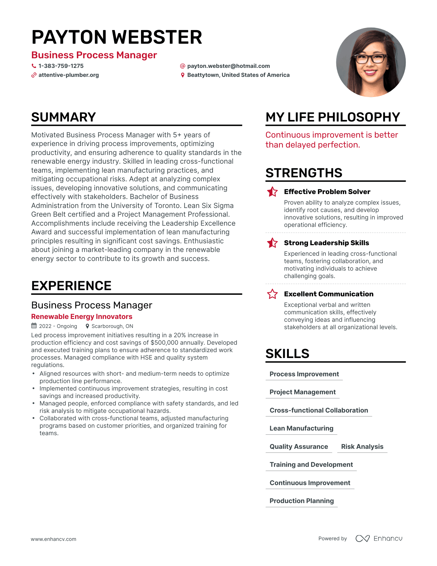 Modern Business Process Manager Resume Example