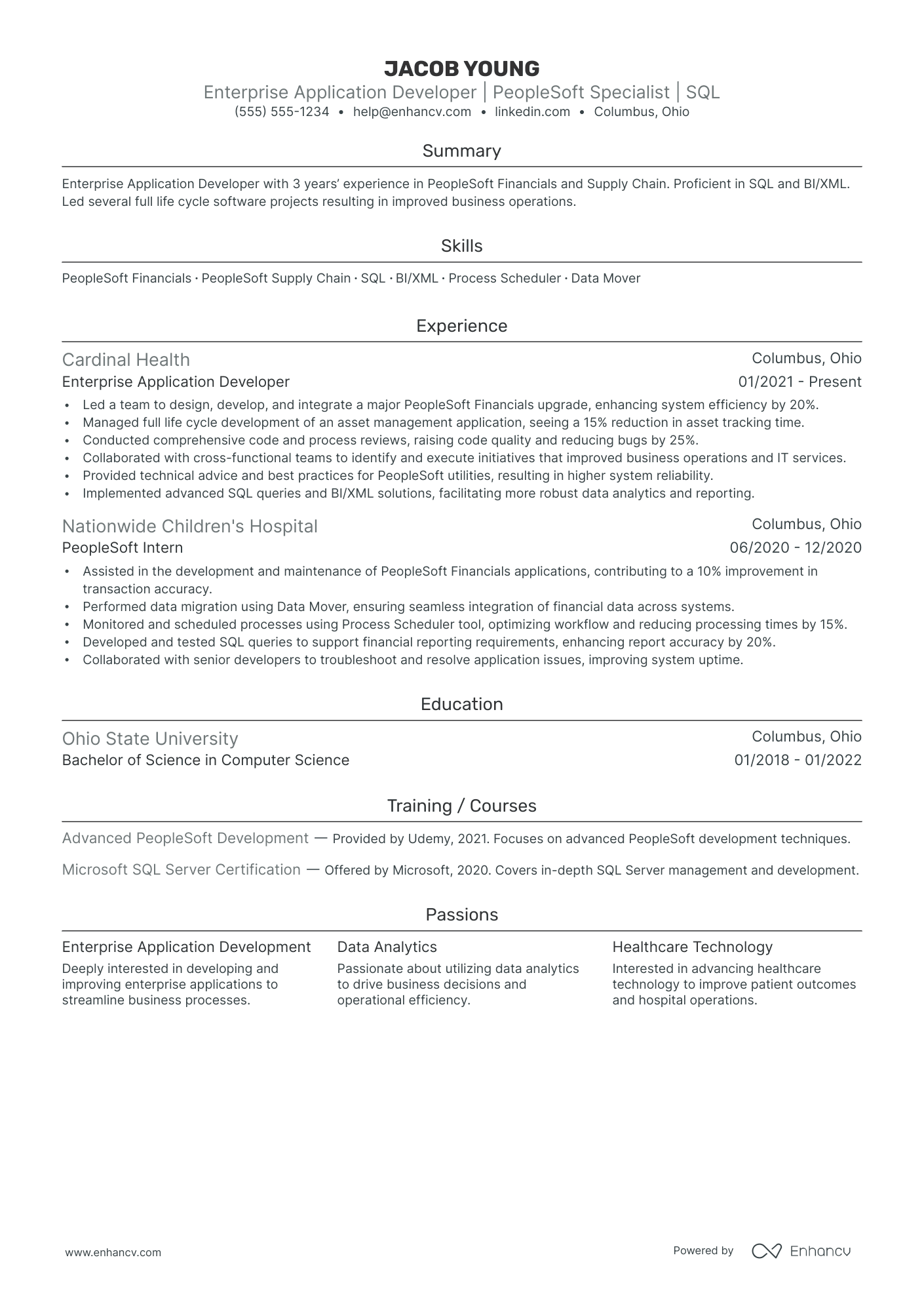 Enterprise Application Developer resume example