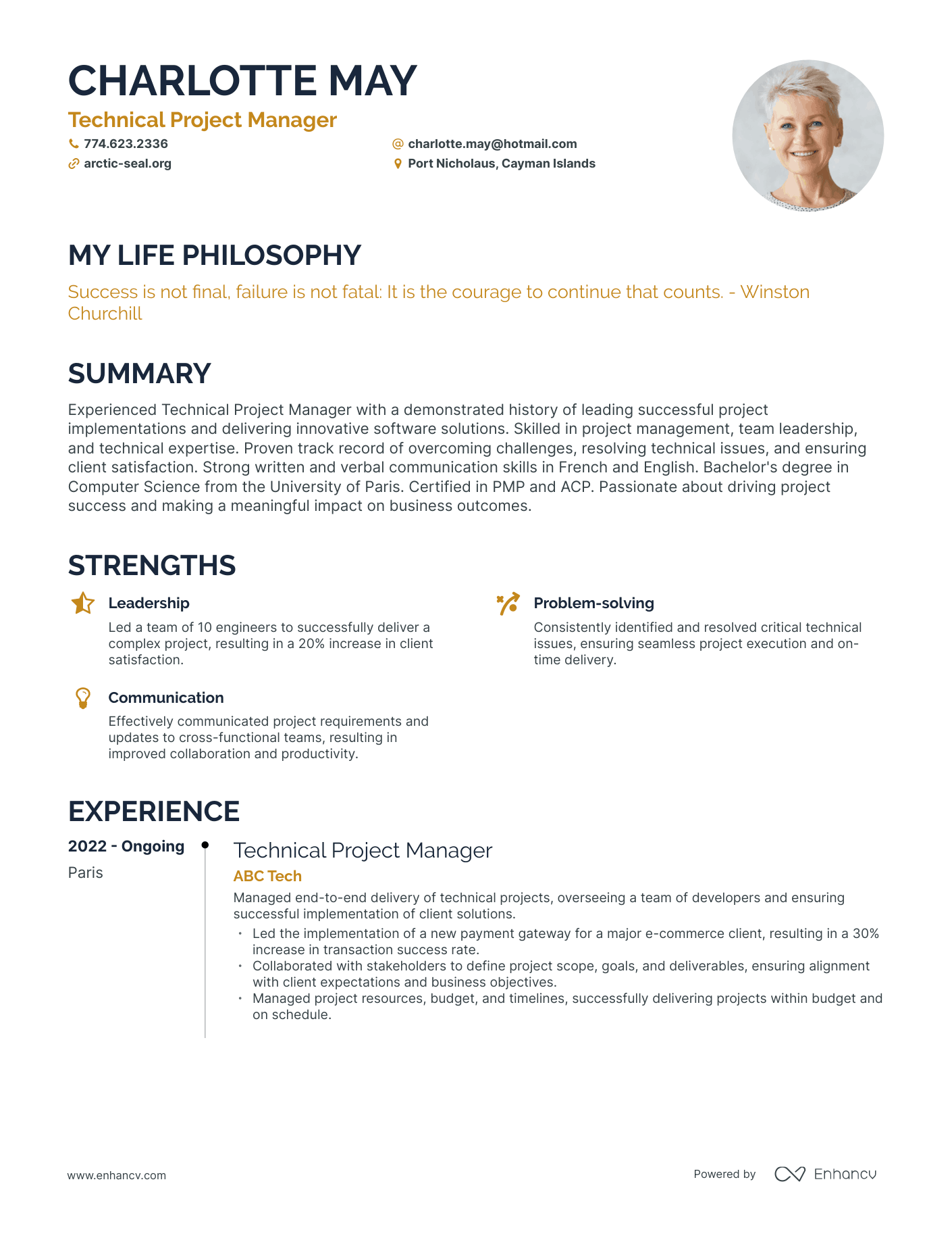 Creative Technical Project Manager Resume Example