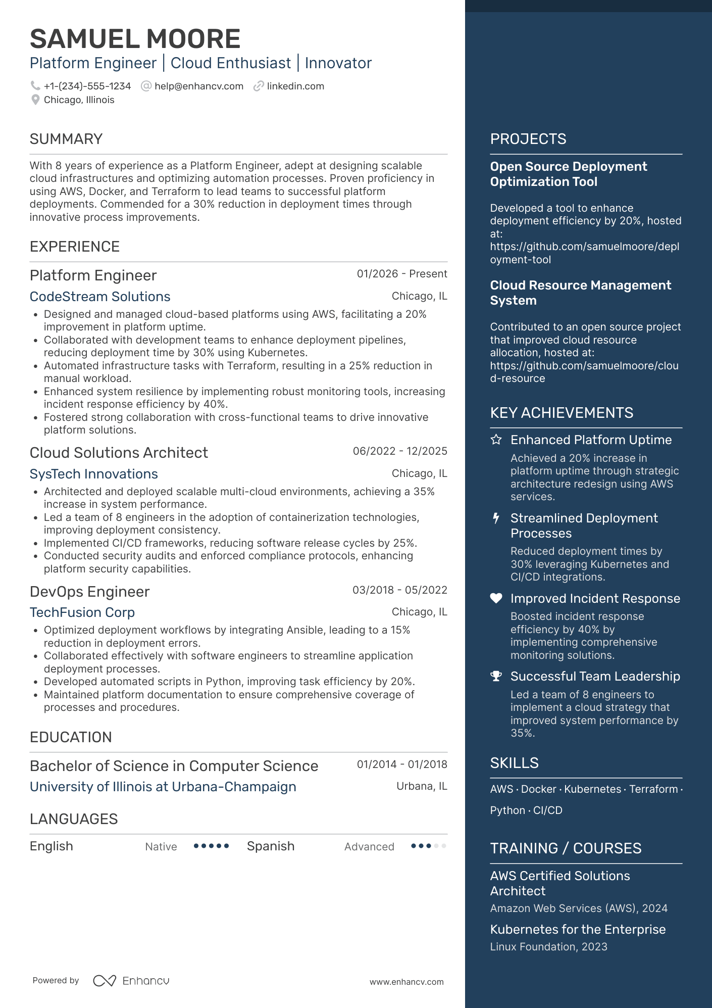 Platform Engineer resume example