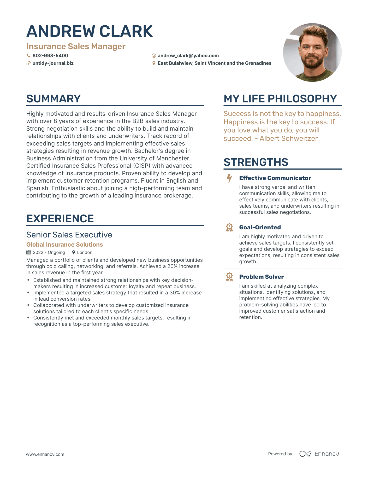 Modern Insurance Sales Manager Resume Example