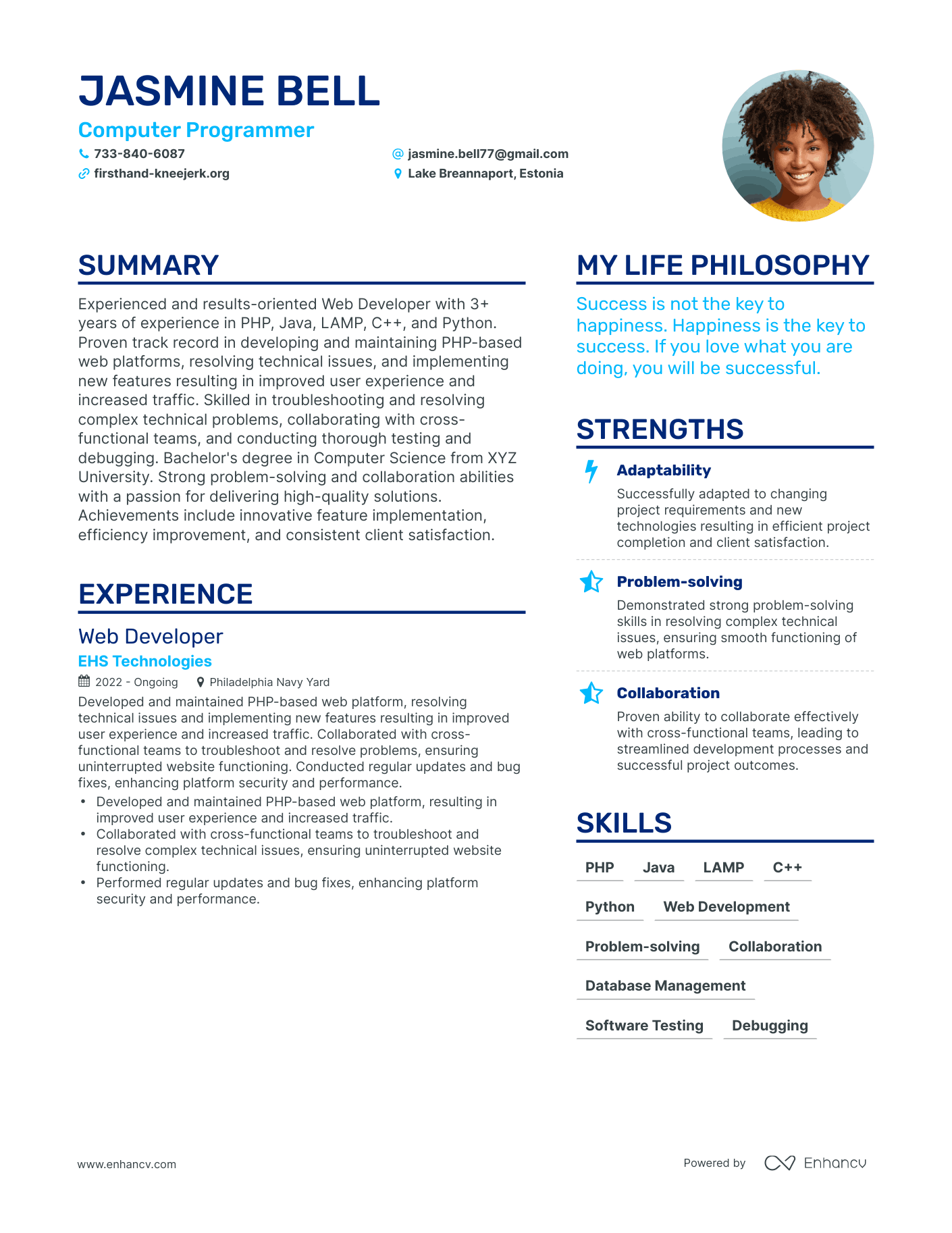 Computer Programmer resume example