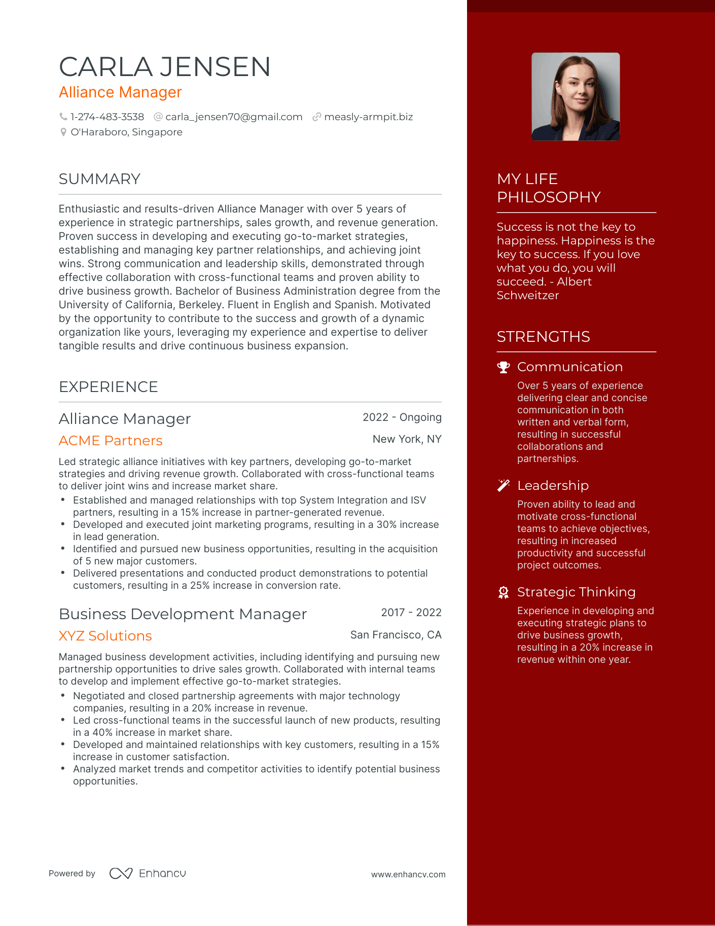 Alliance Manager resume example