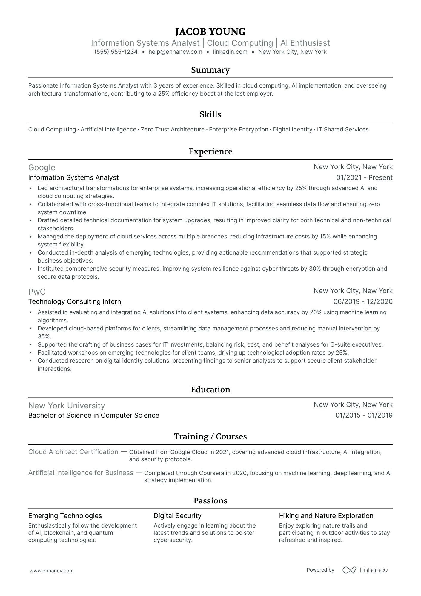 Senior Chief Technology Officer resume example