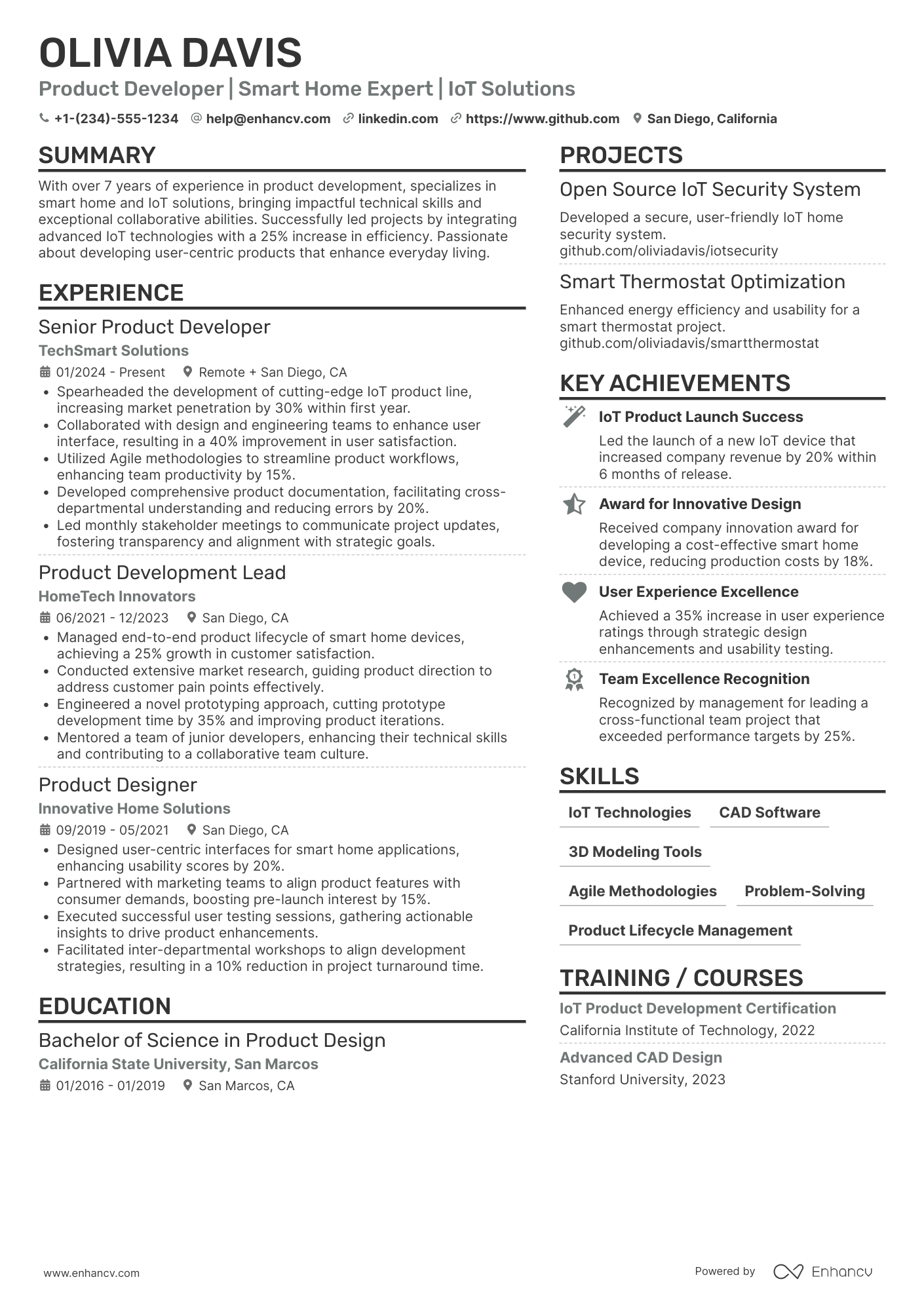 Product Developer resume example