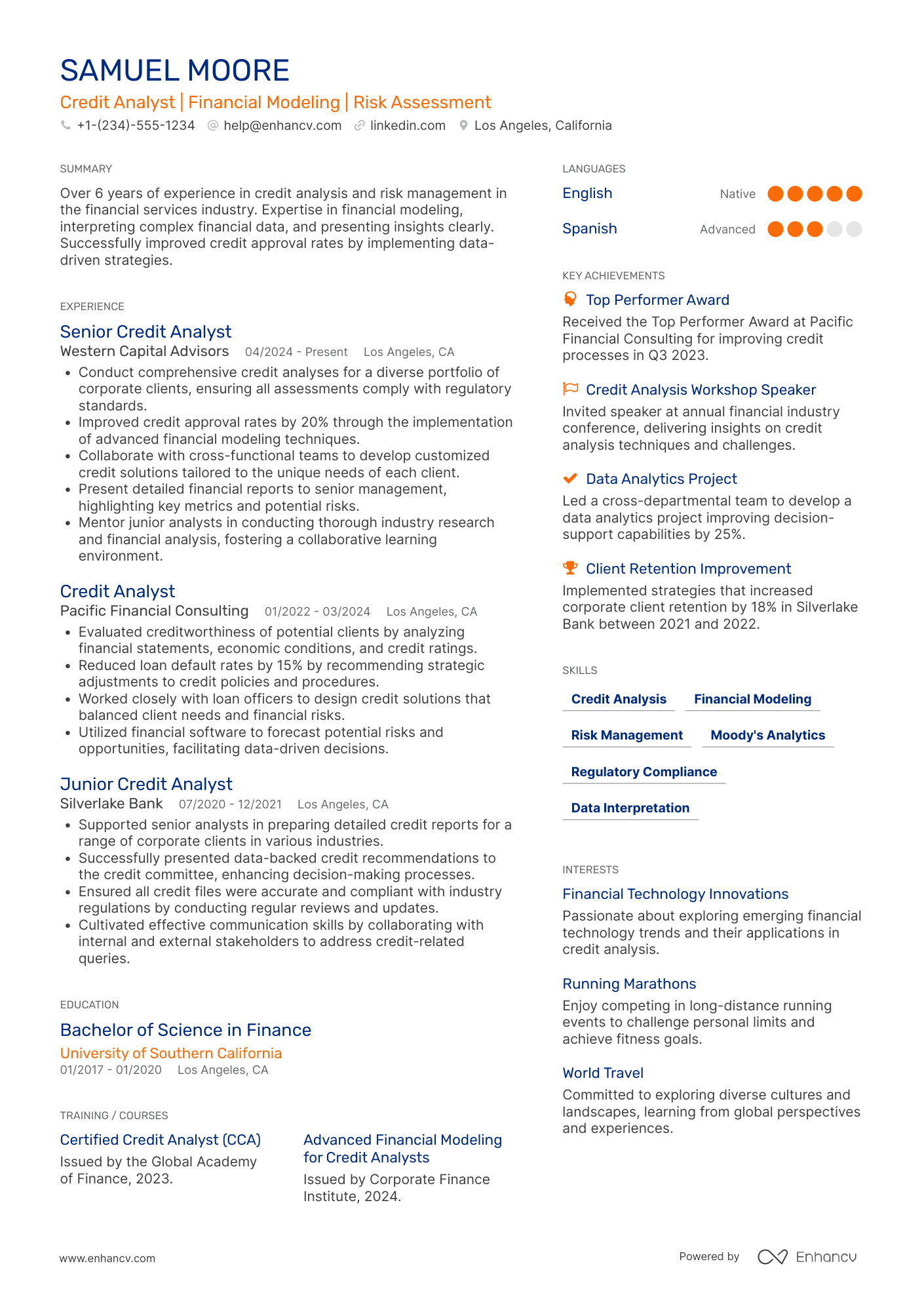 Credit Analyst resume example