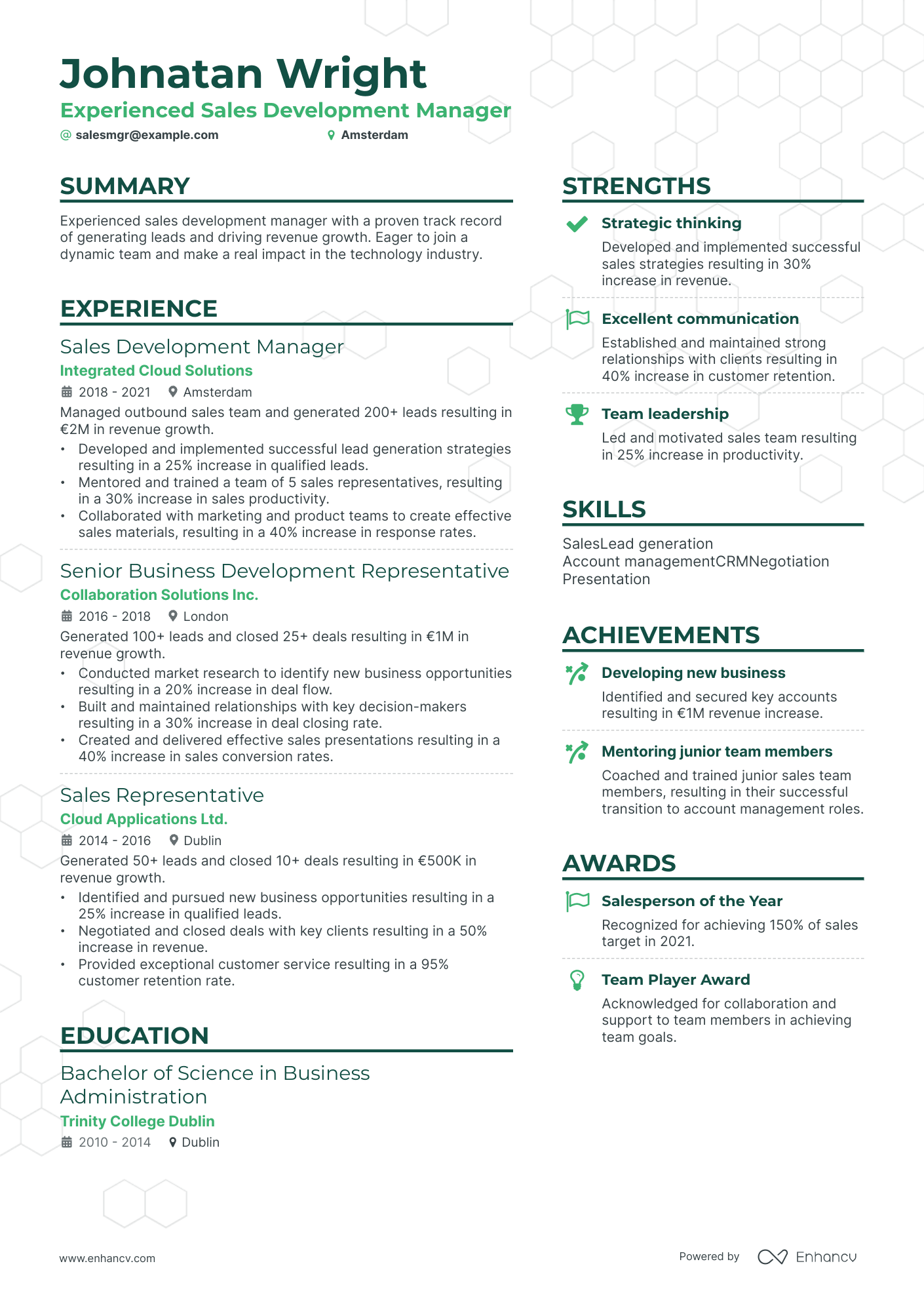 Sales Development Manager resume example