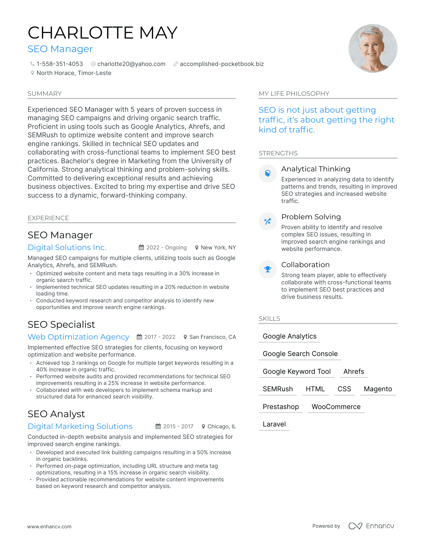 Modern SEO Manager Resume Example