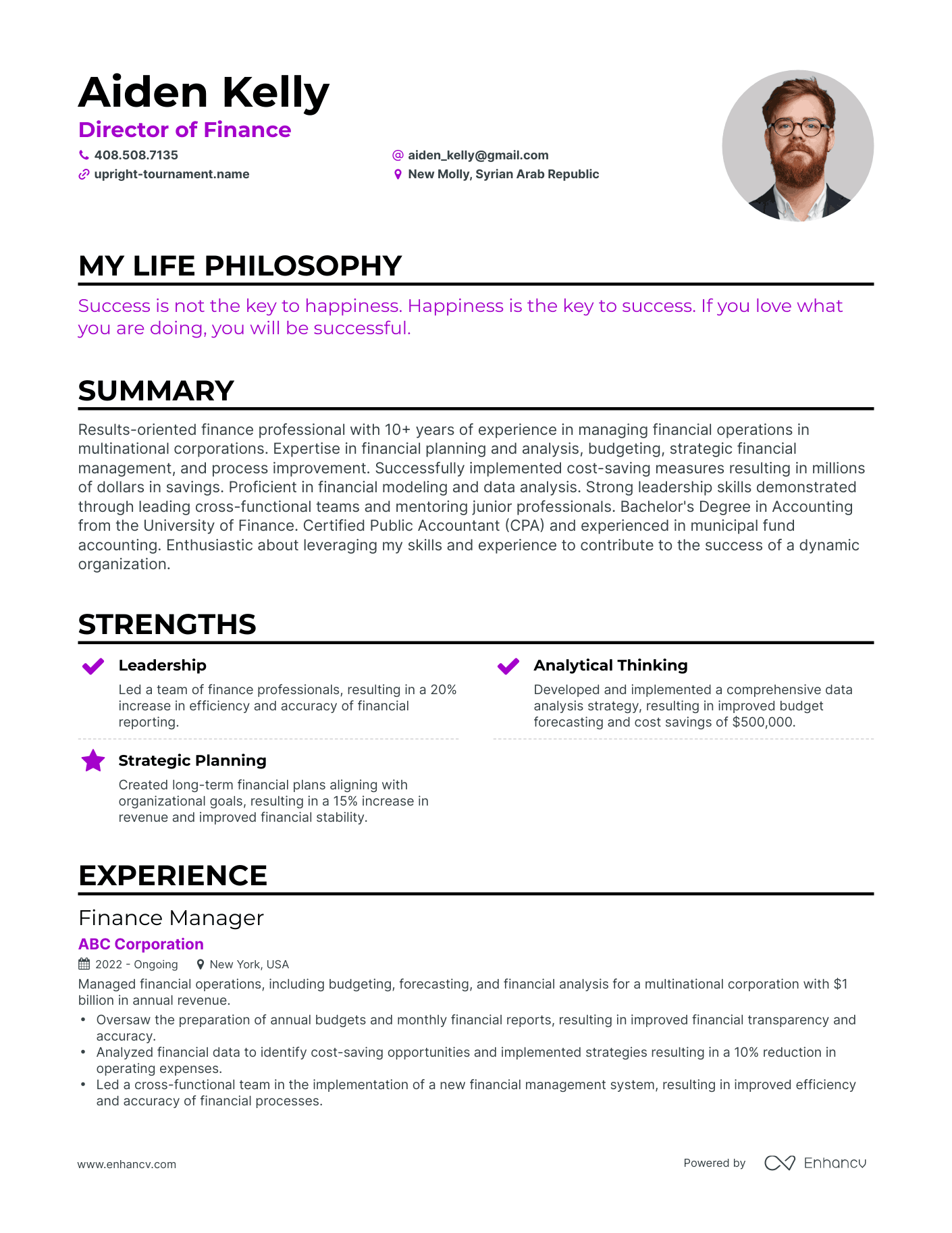 Creative Director of Finance Resume Example